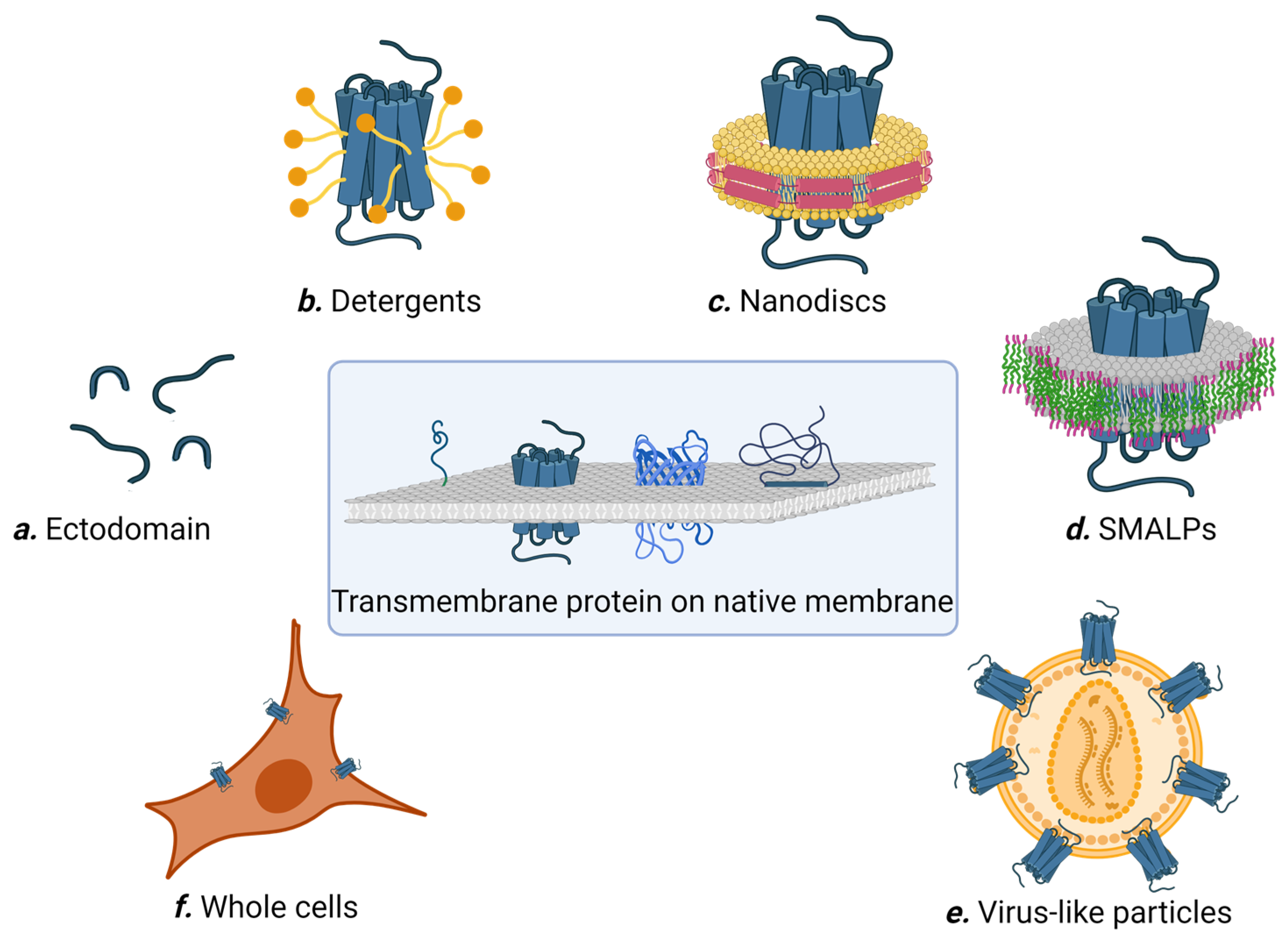 Bioengineering 10 01351 g002