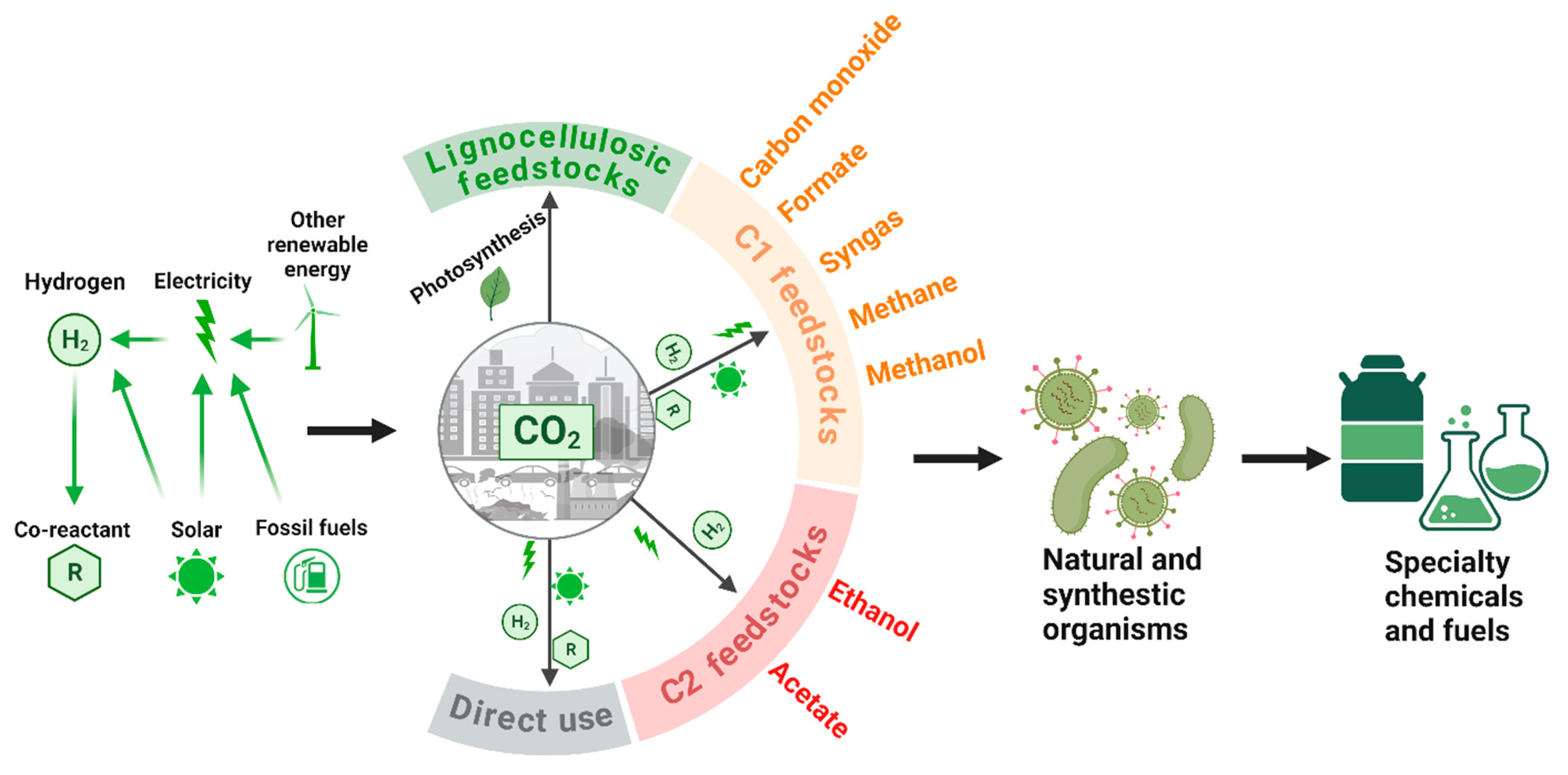 Bioengineering 10 01357 g001