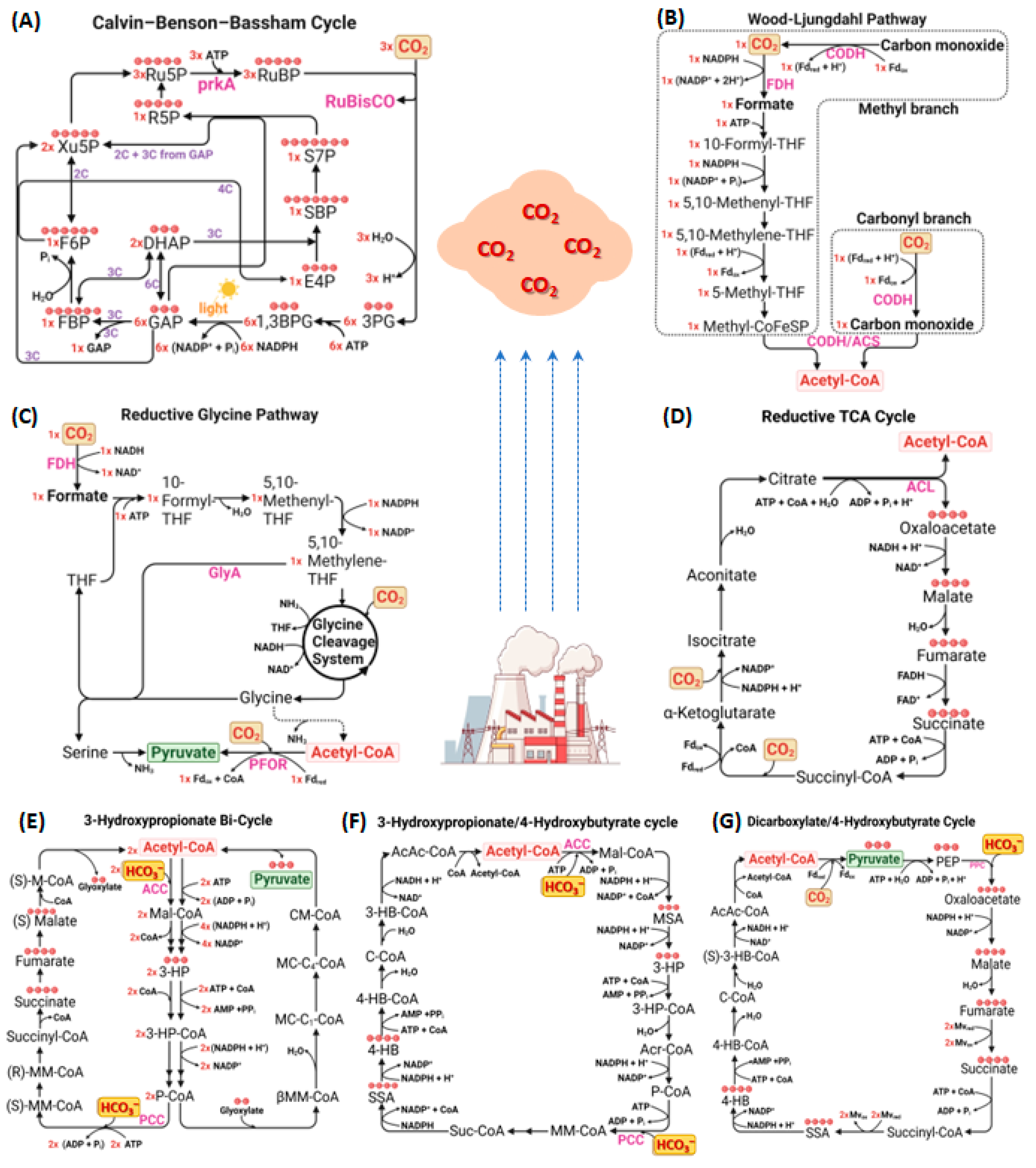Bioengineering 10 01357 g002