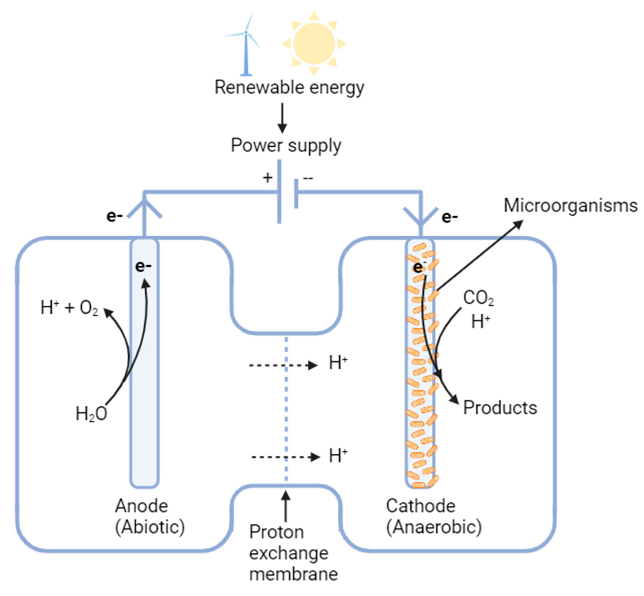 Bioengineering 10 01357 g003