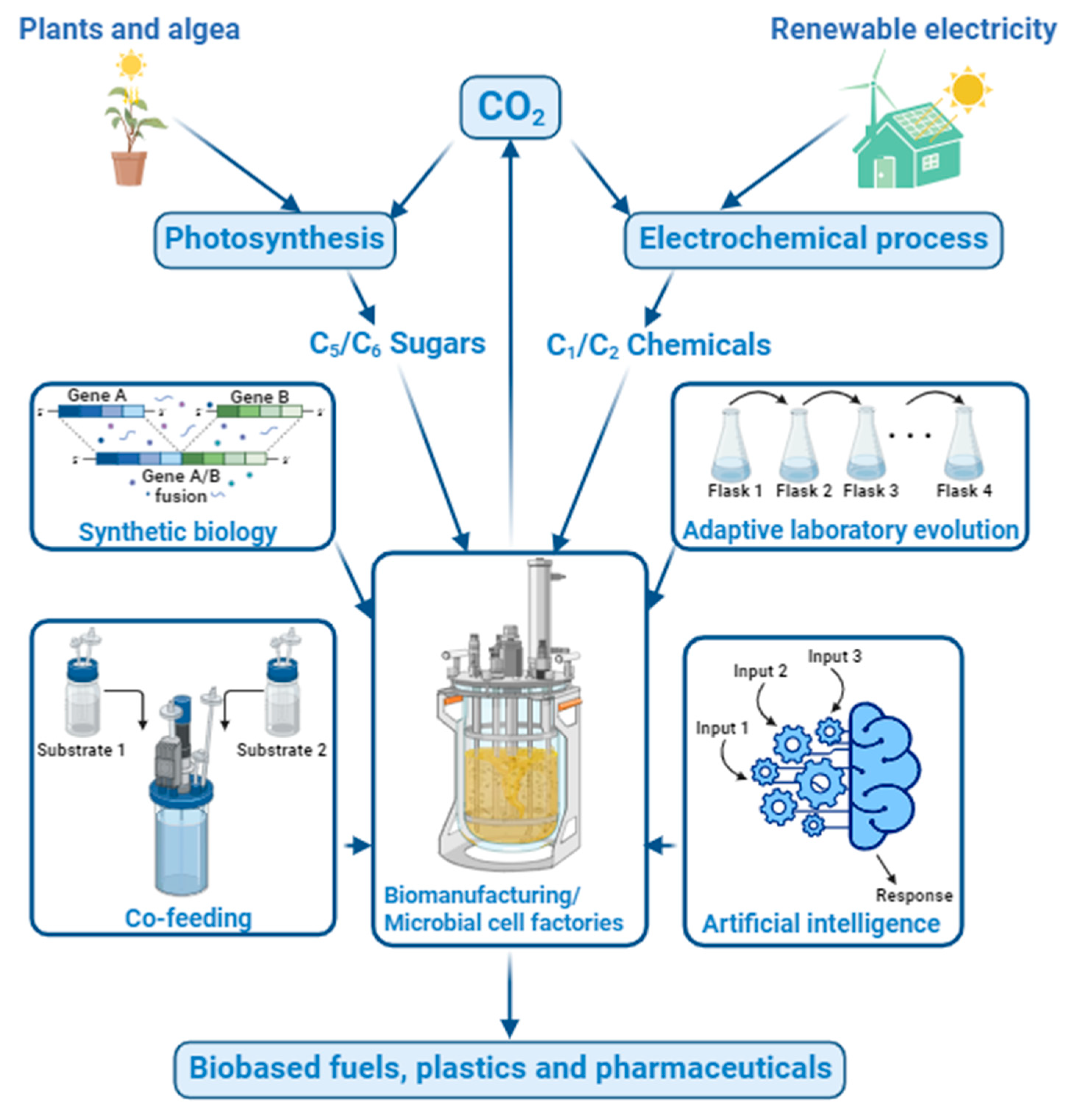 Bioengineering 10 01357 g006
