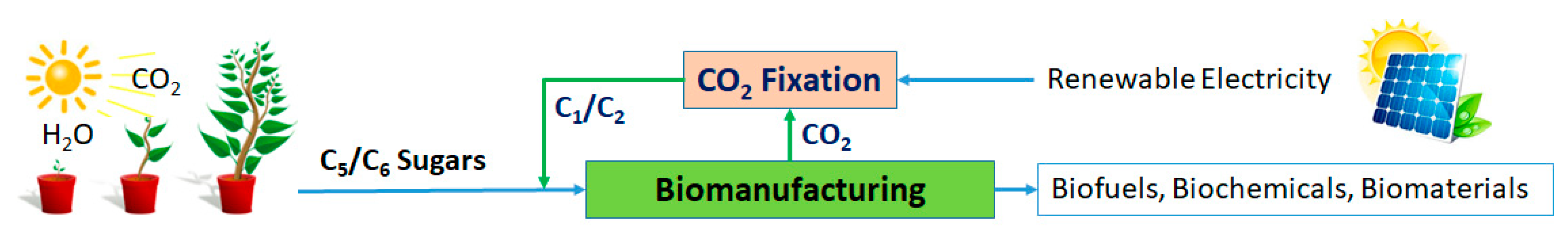 Bioengineering 10 01357 g007