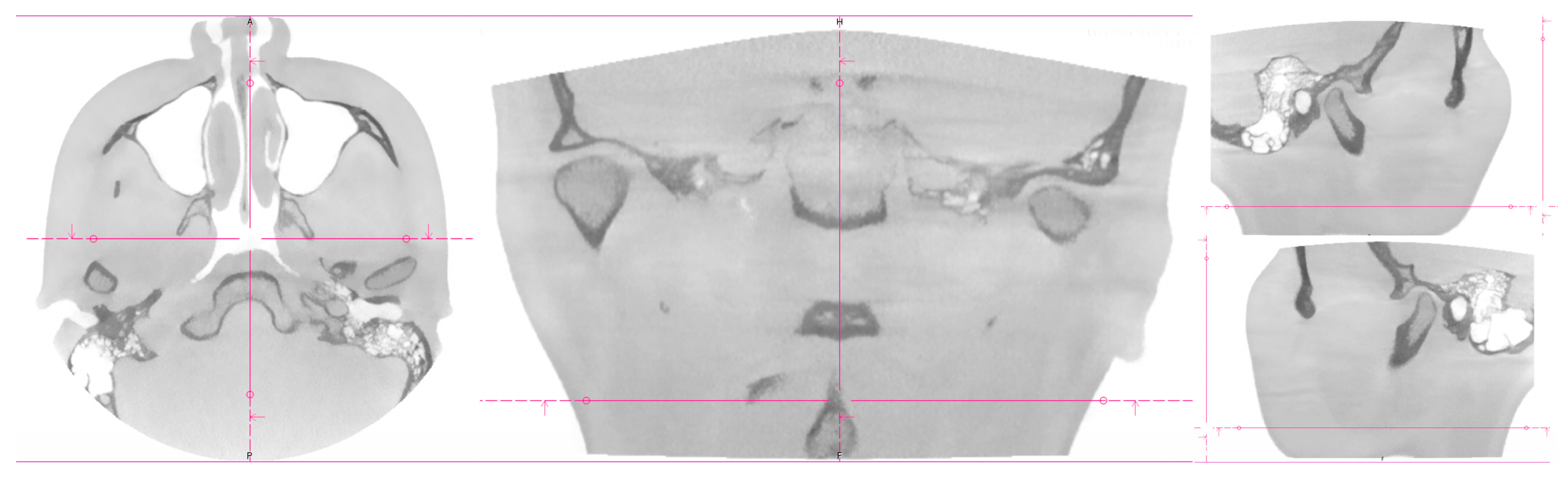 Bioengineering 10 01379 g001