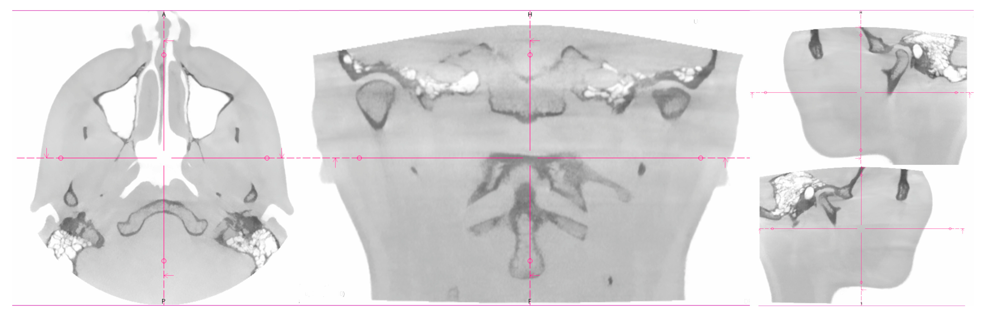 Bioengineering 10 01379 g002