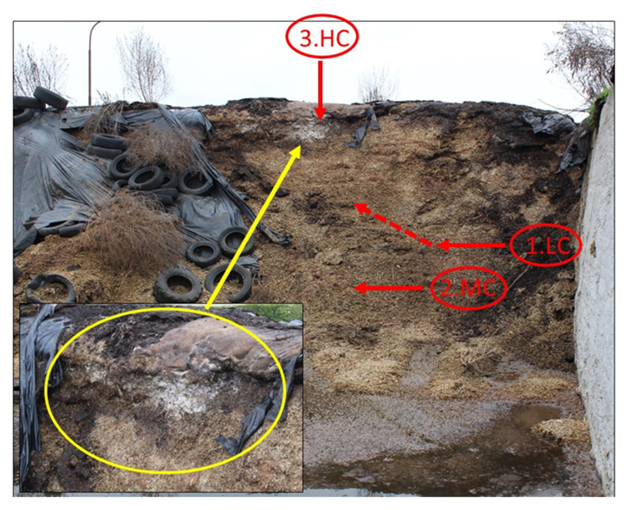 Bioengineering 10 01387 g001