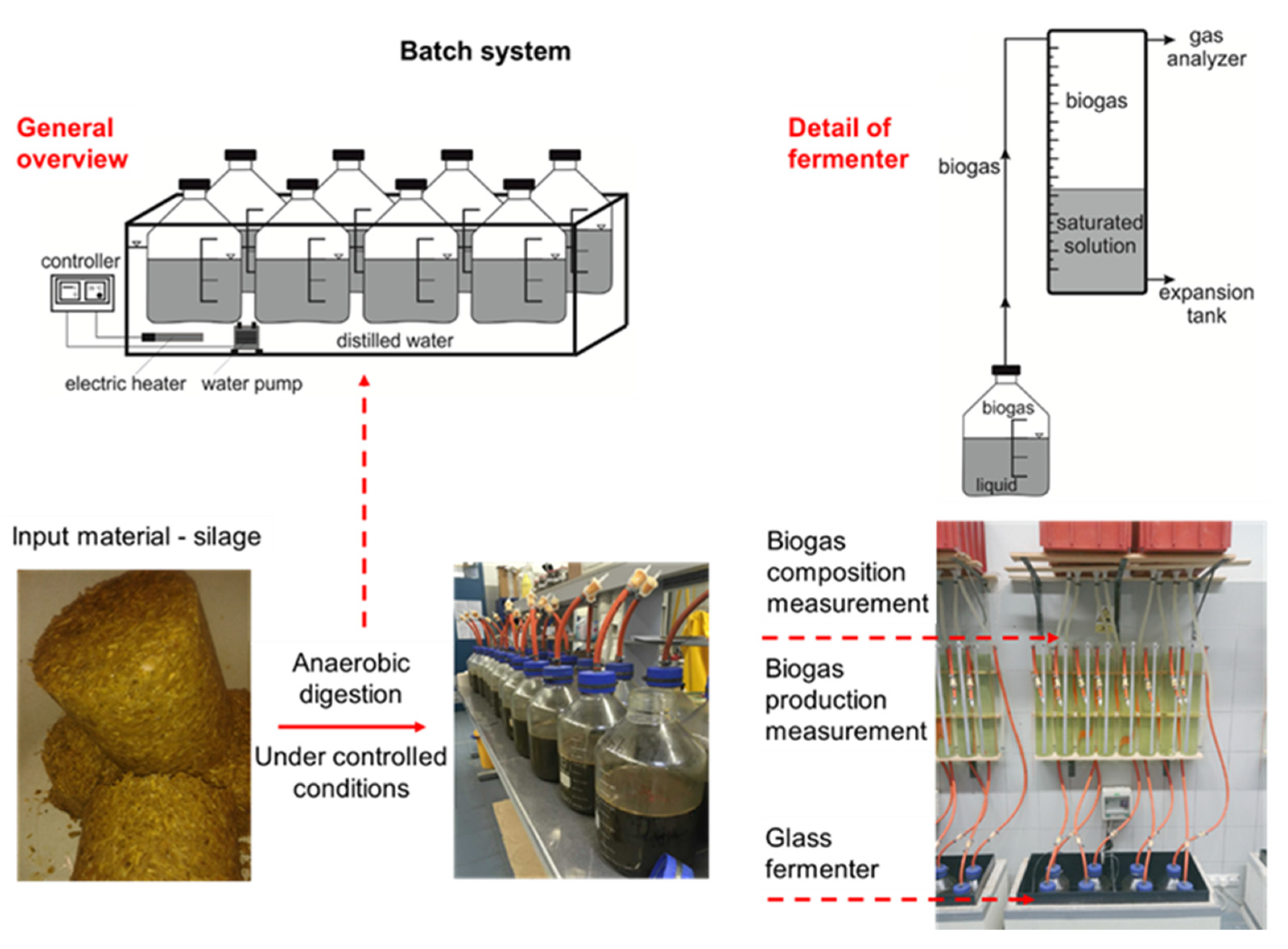 Bioengineering 10 01387 g002