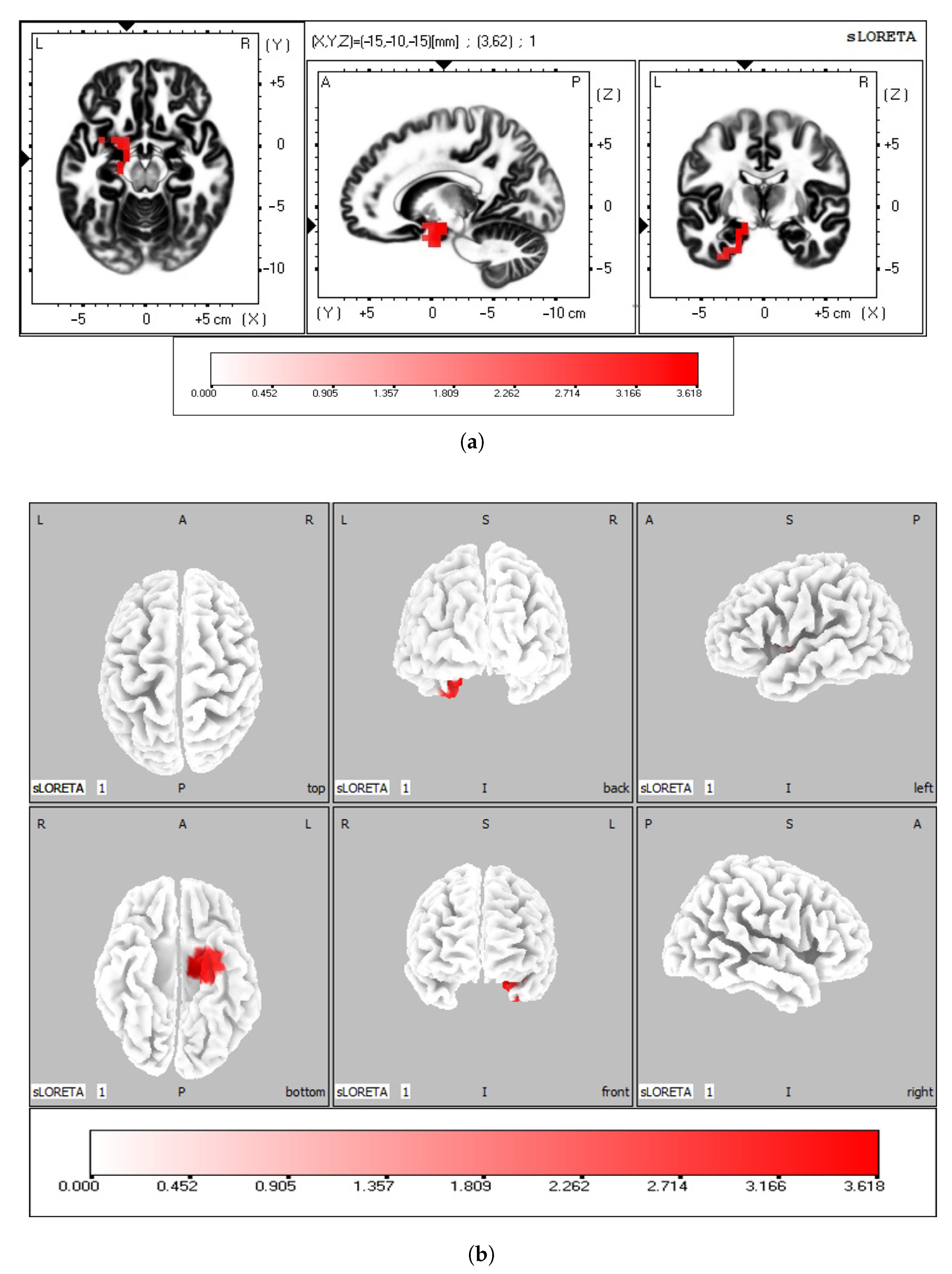Bioengineering 10 01388 g002