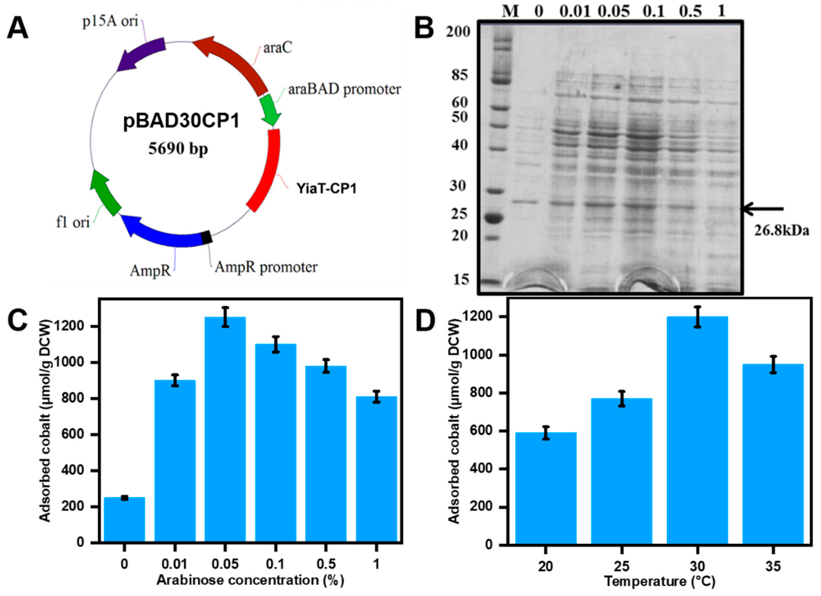 Bioengineering 10 01389 g003