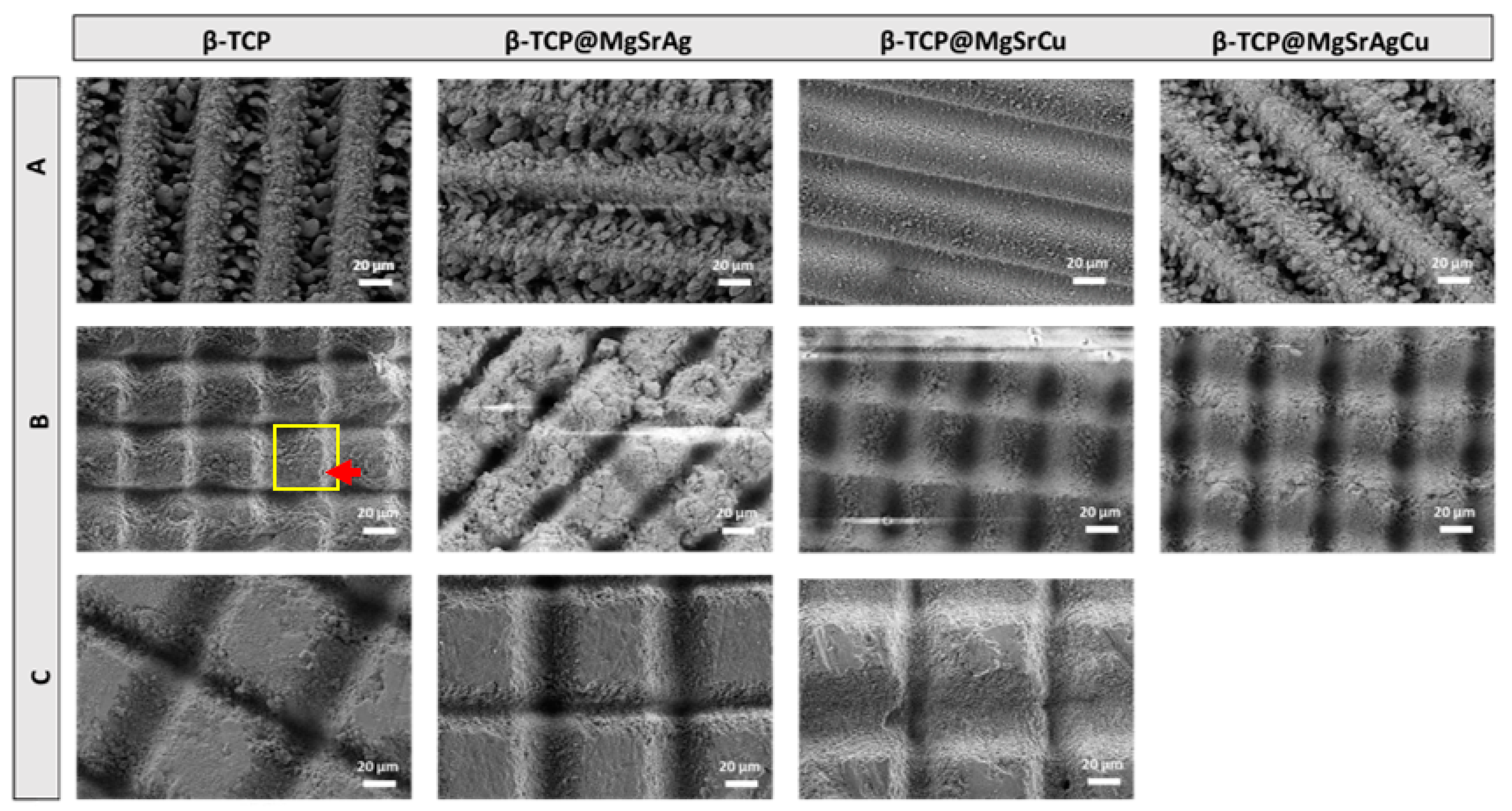 Bioengineering 10 01392 g005