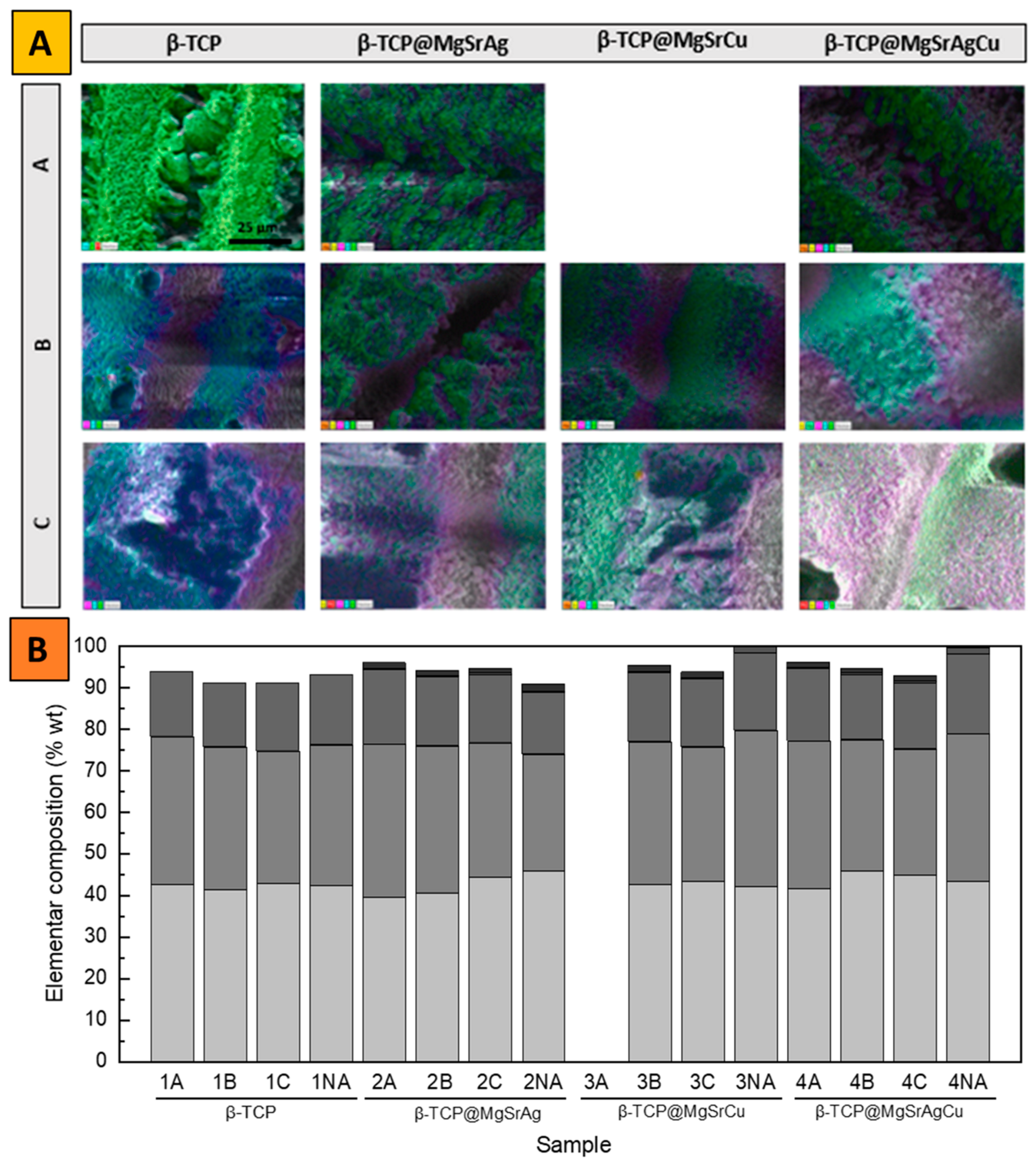Bioengineering 10 01392 g006
