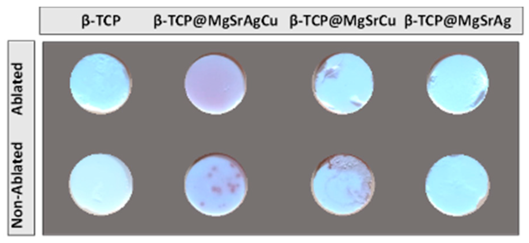 Bioengineering 10 01392 g009