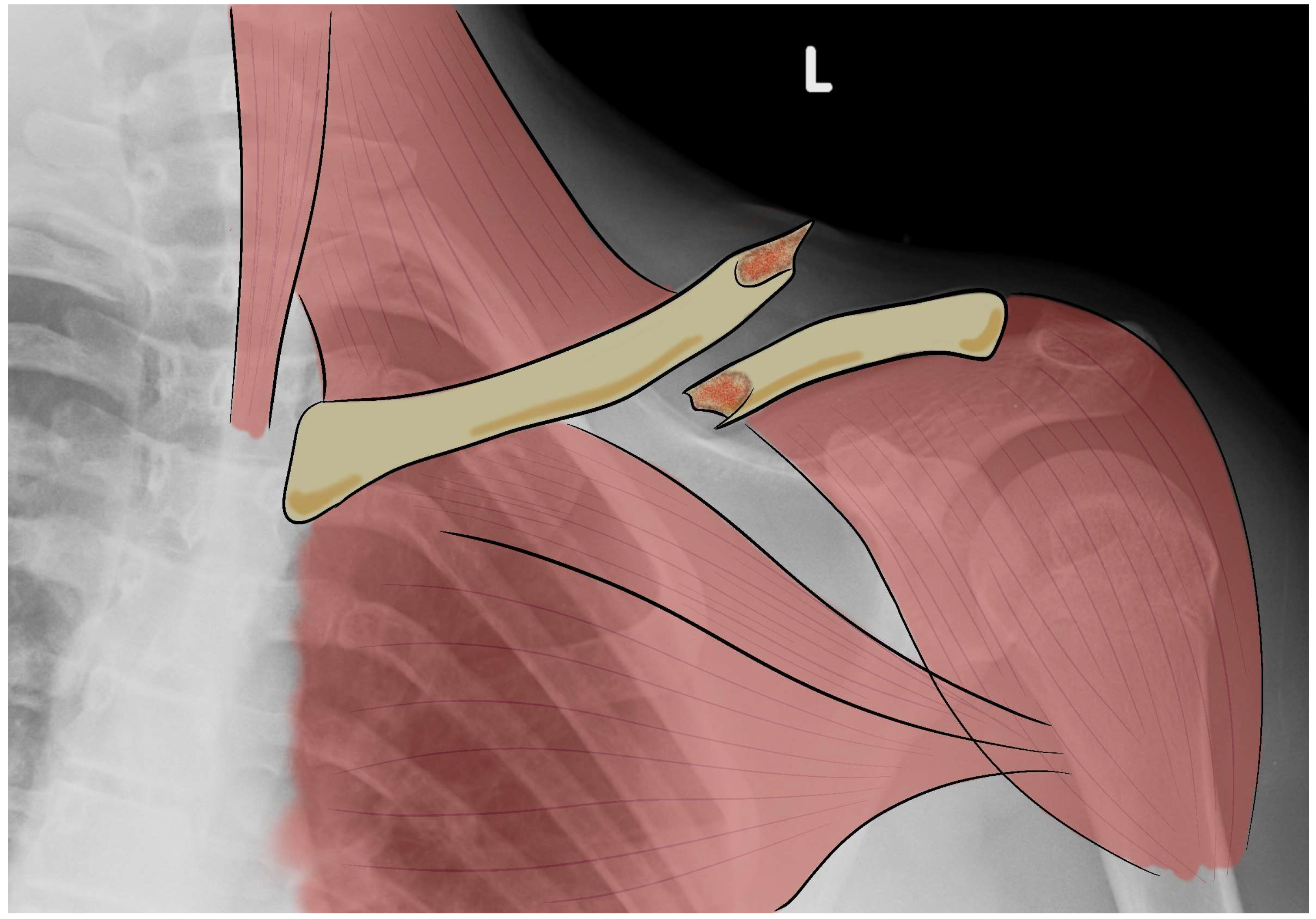 Bioengineering 10 01402 g001