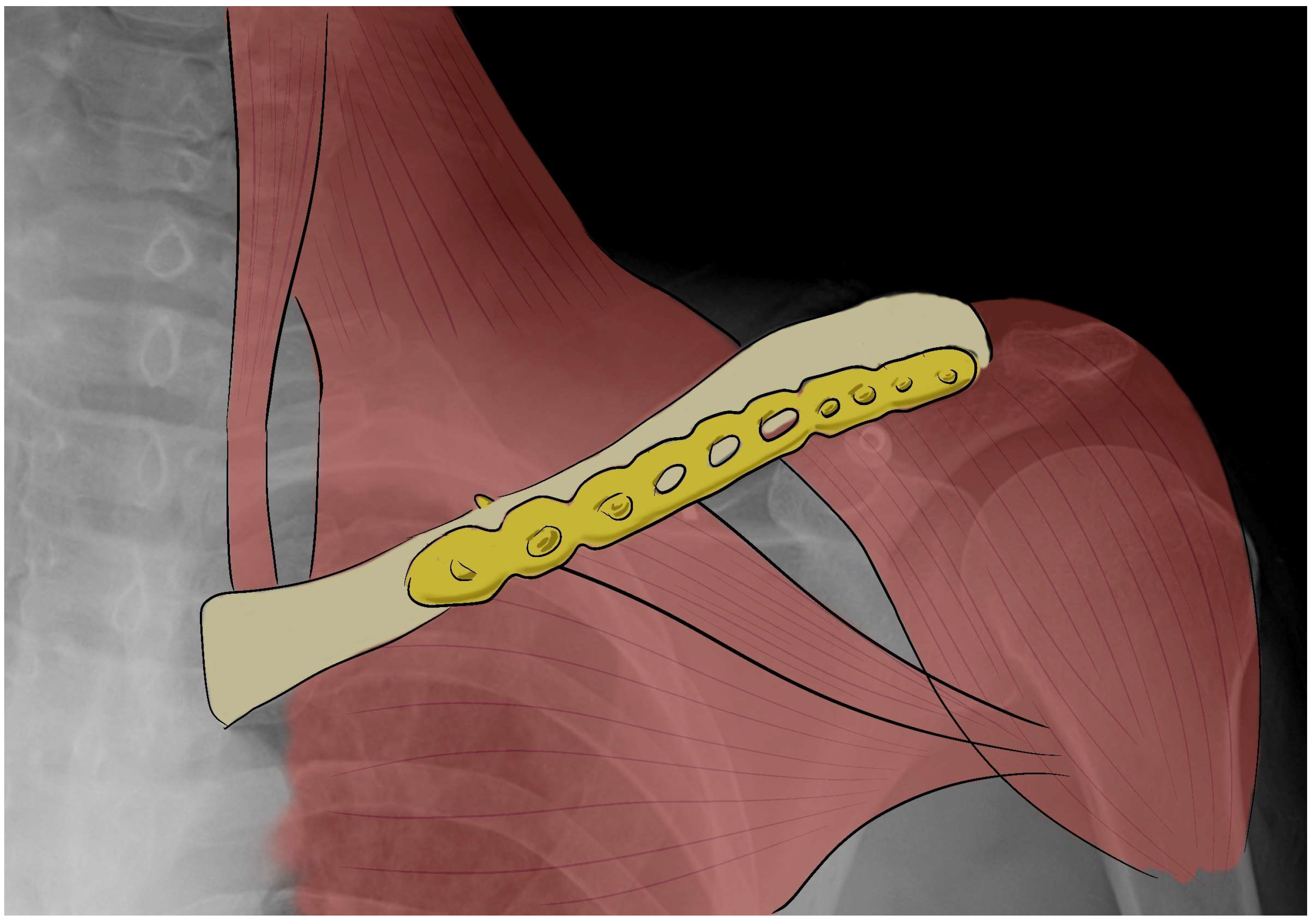 Bioengineering 10 01402 g002