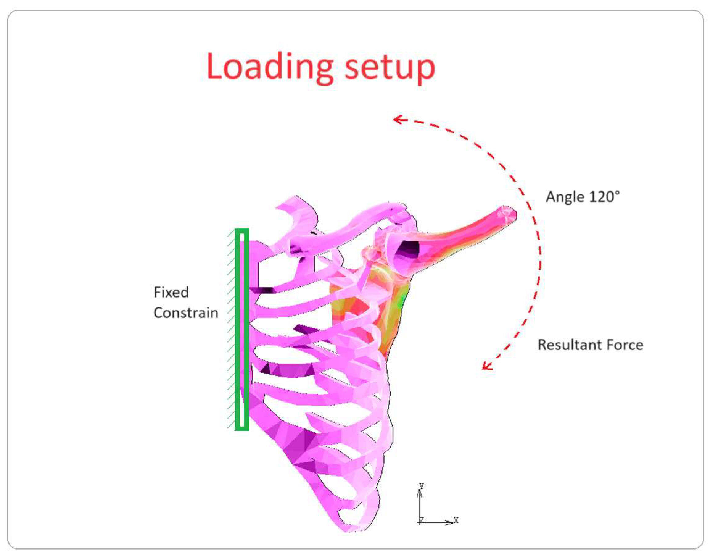 Bioengineering 10 01402 g004