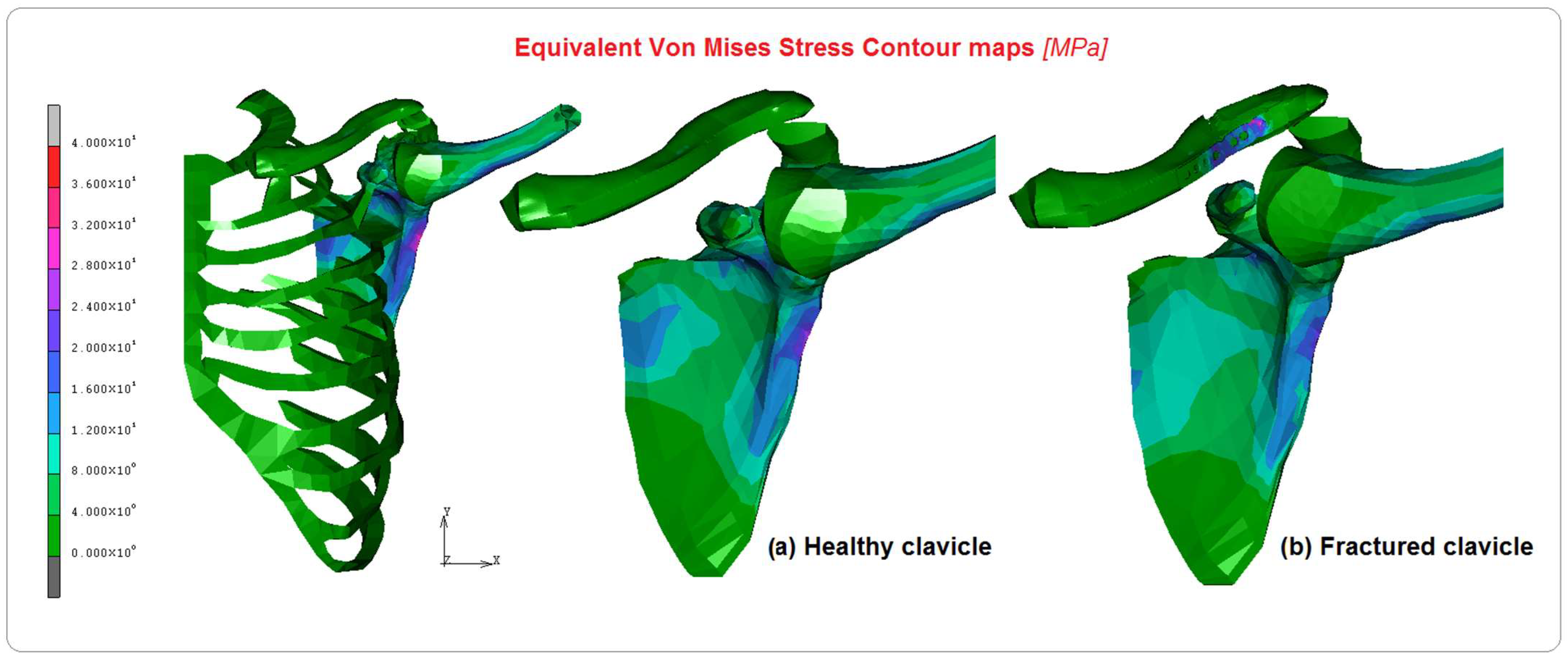 Bioengineering 10 01402 g005