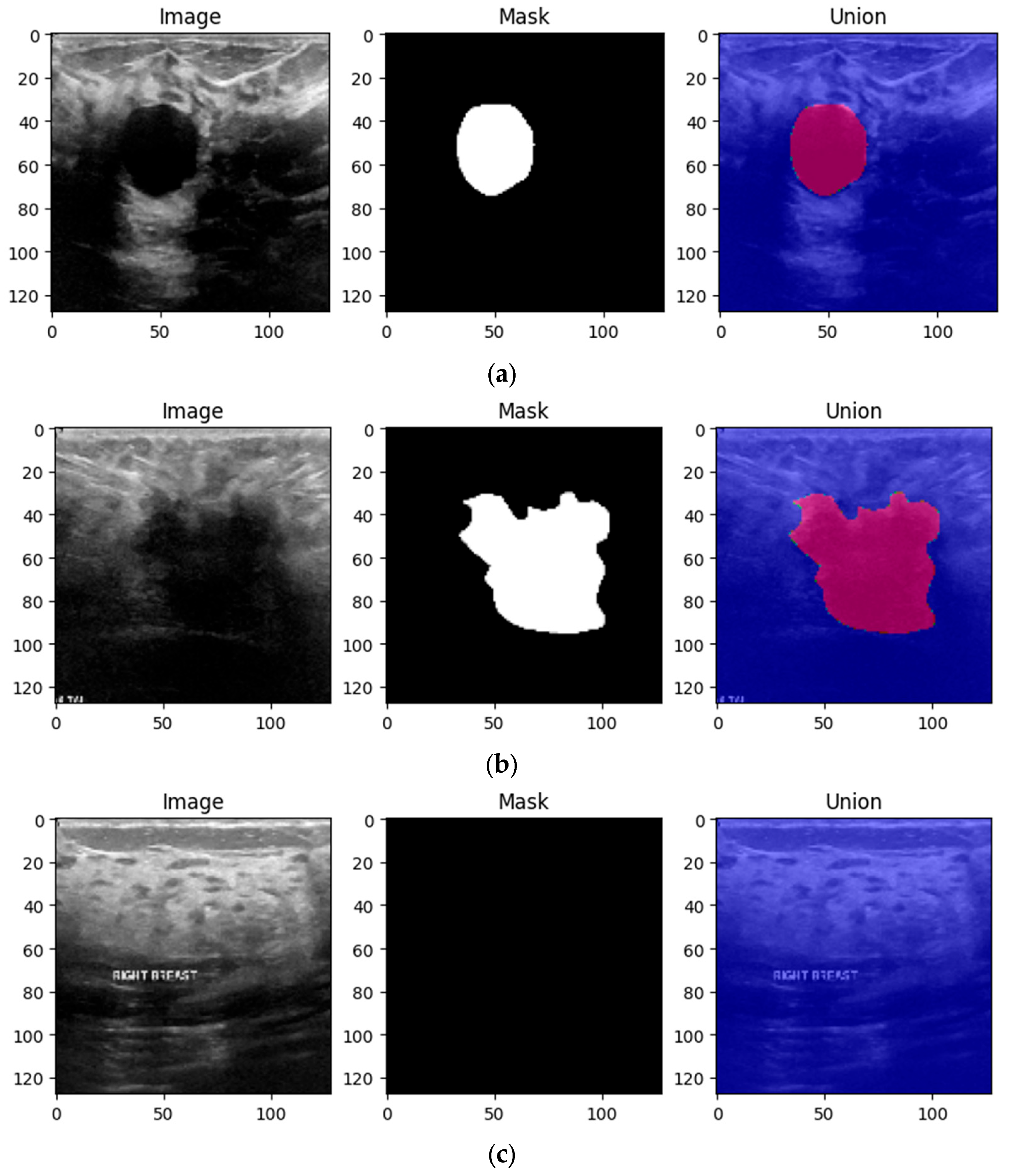 Bioengineering 10 01419 g003