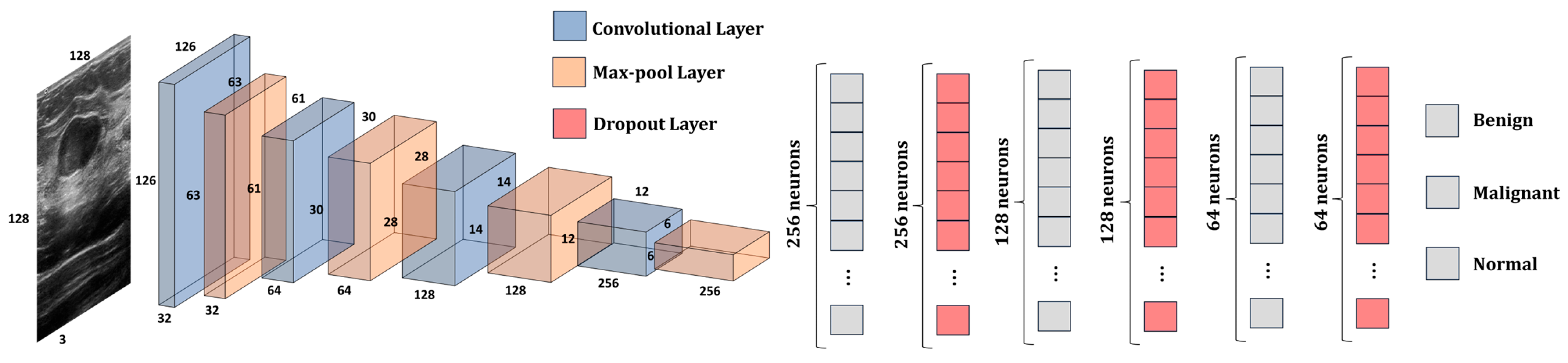 Bioengineering 10 01419 g006