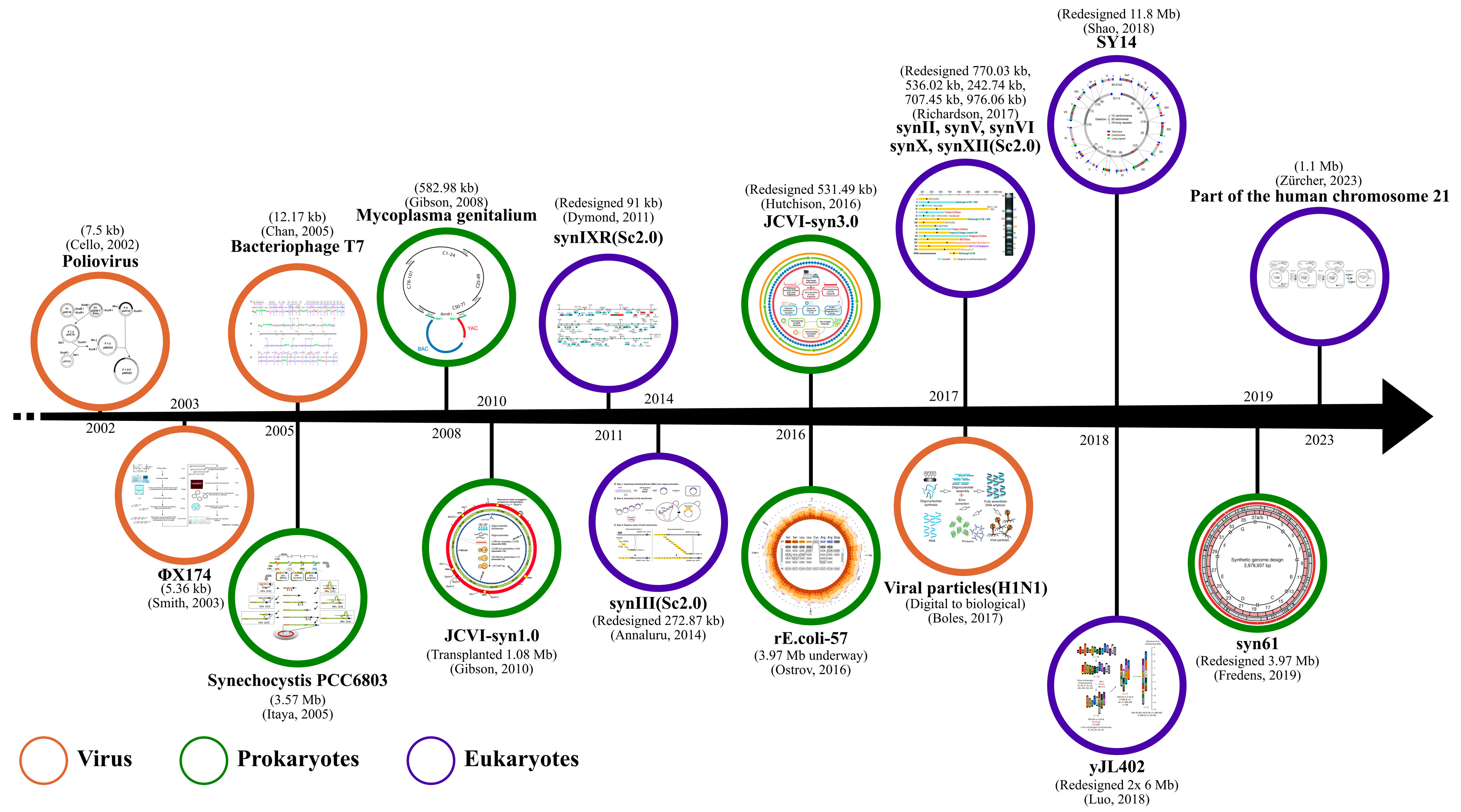 Bioengineering 10 01425 g002