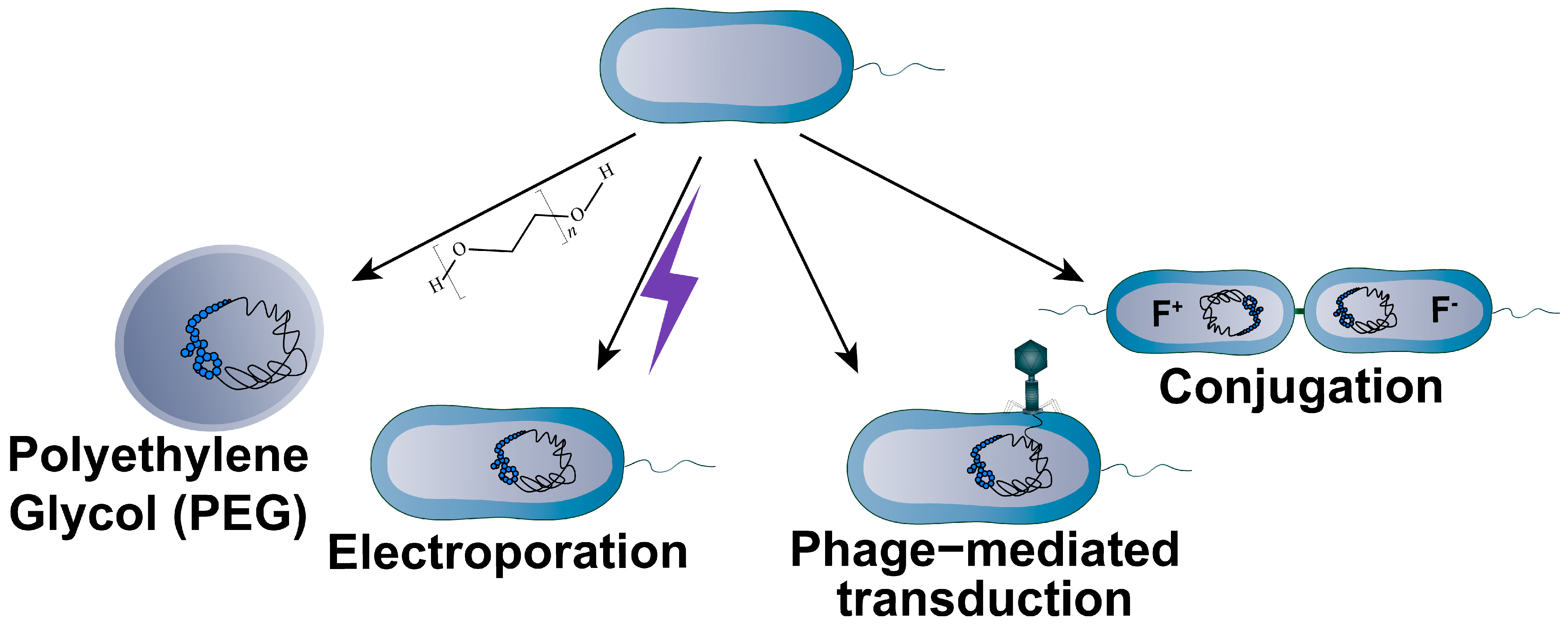 Bioengineering 10 01425 g005