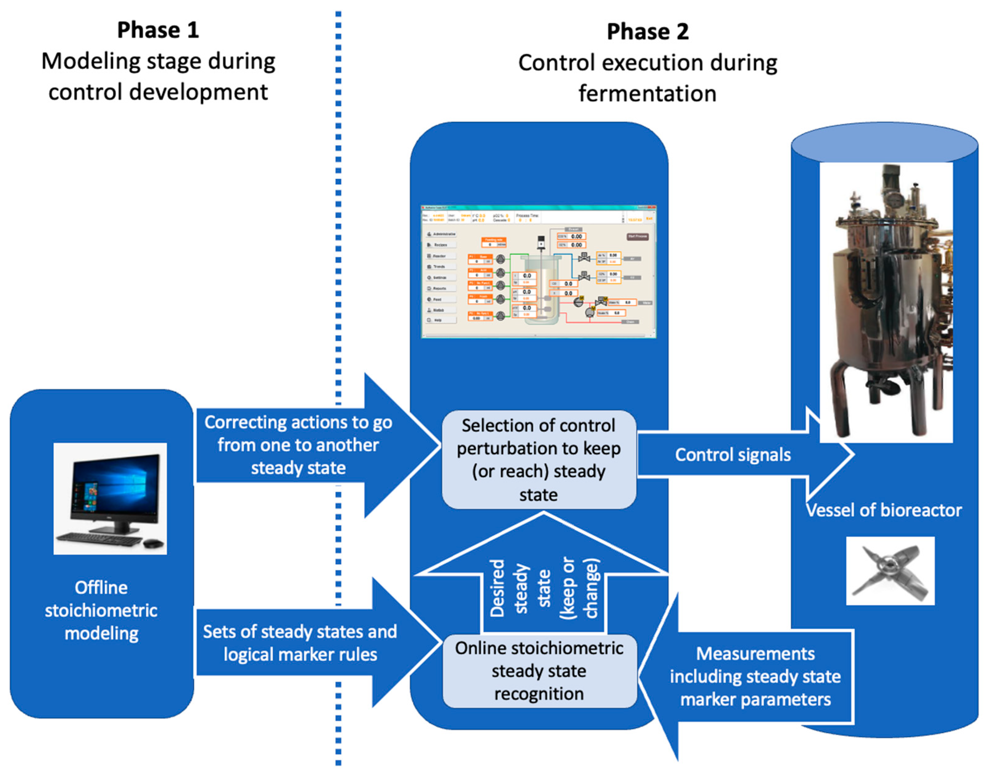 Bioengineering 10 01427 g004