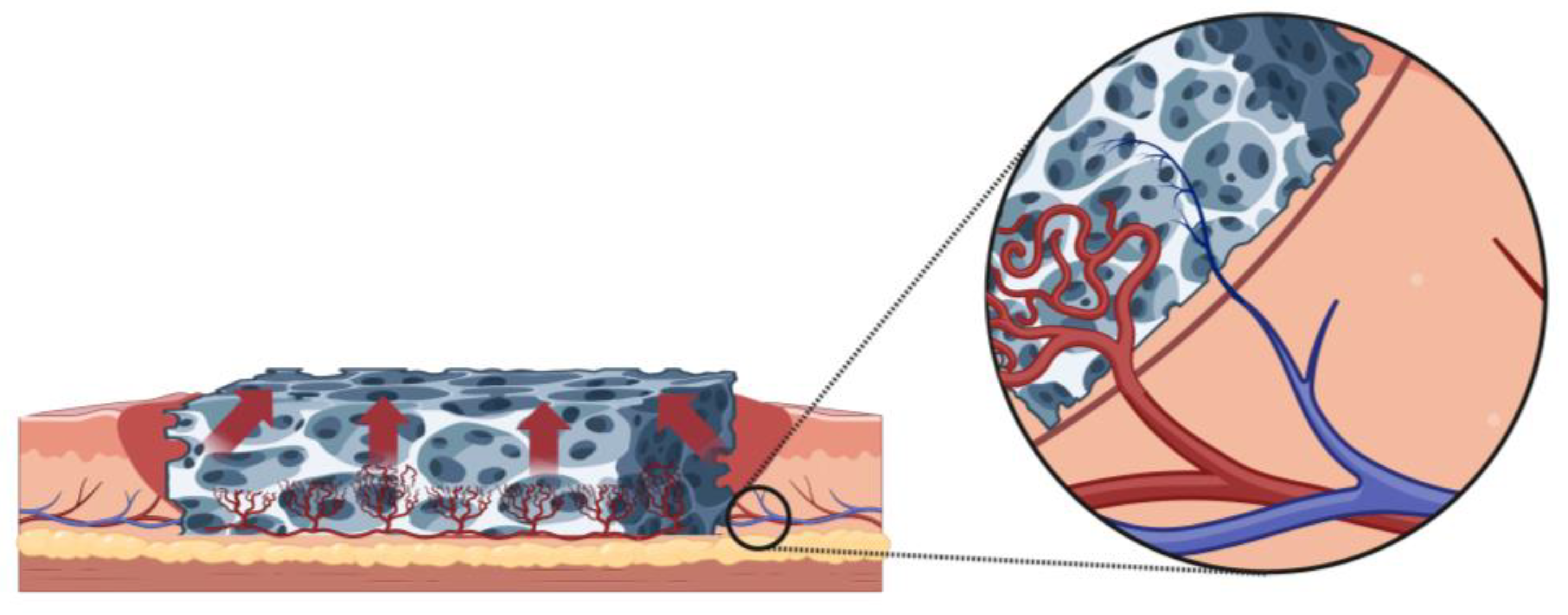 Bioengineering 10 01440 g003 Bioengineering 10 01440 g003