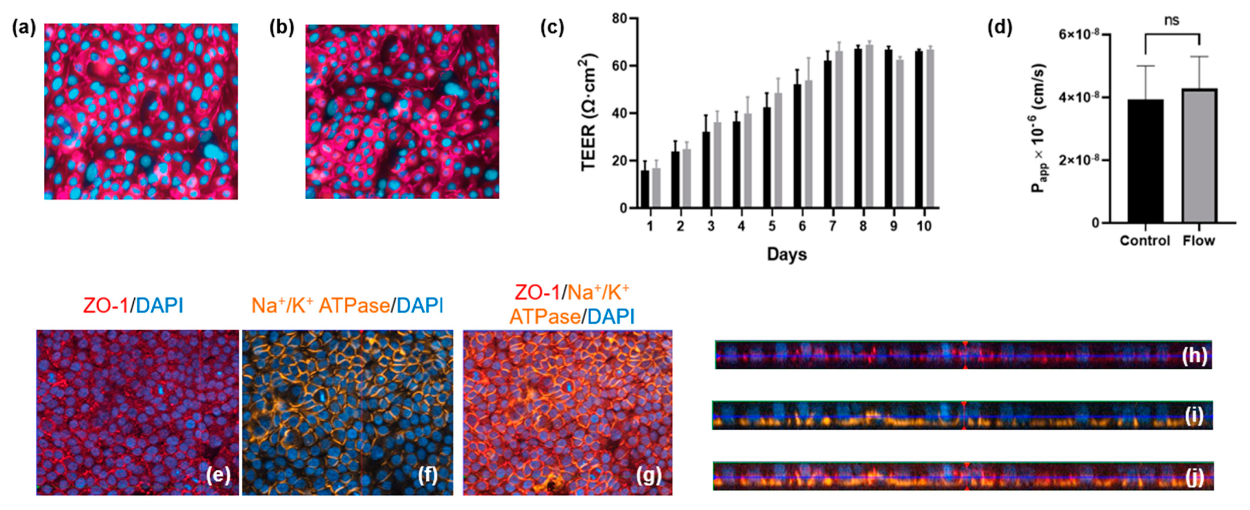 Bioengineering 11 00007 g003