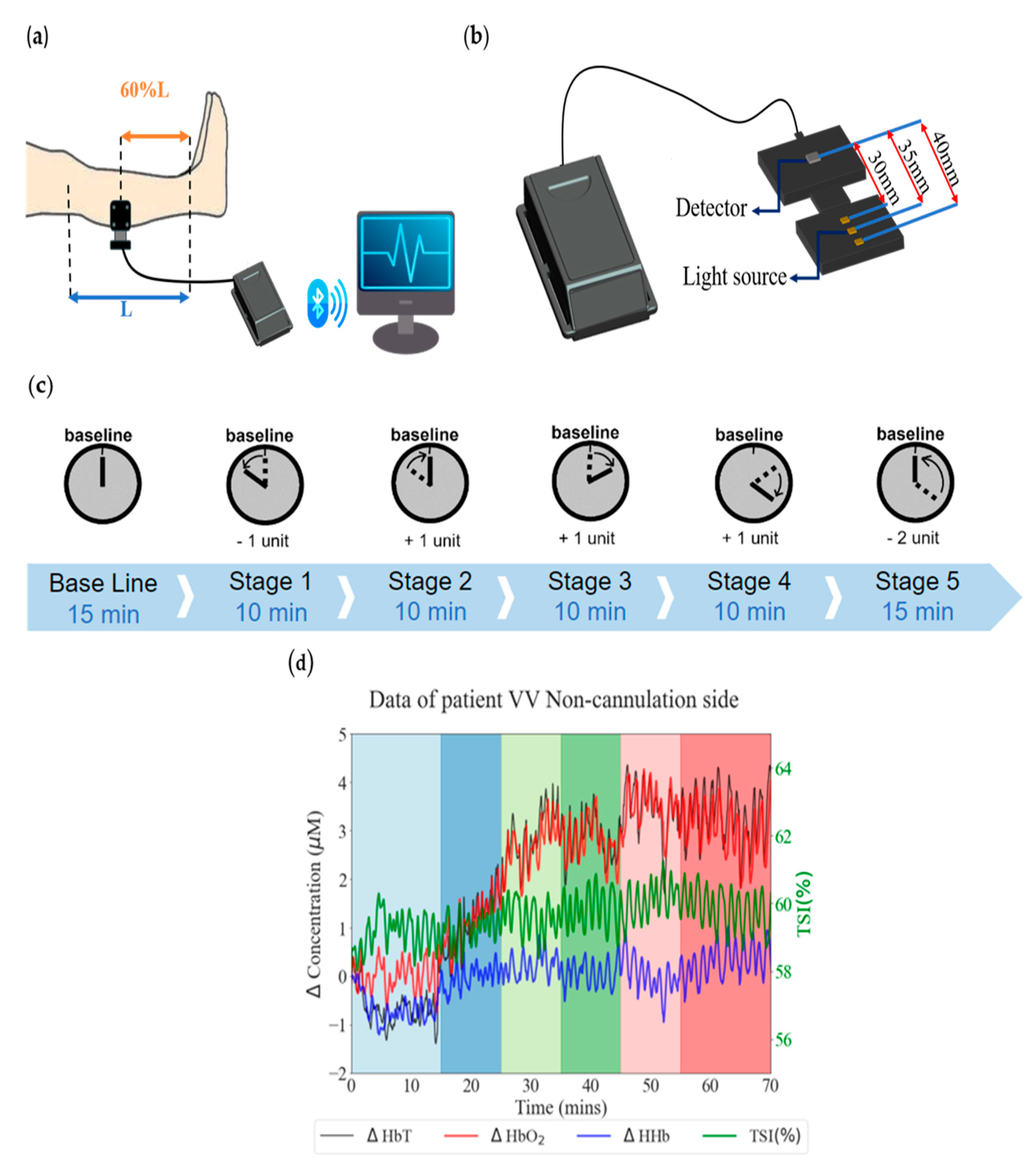 Bioengineering 11 00026 g001