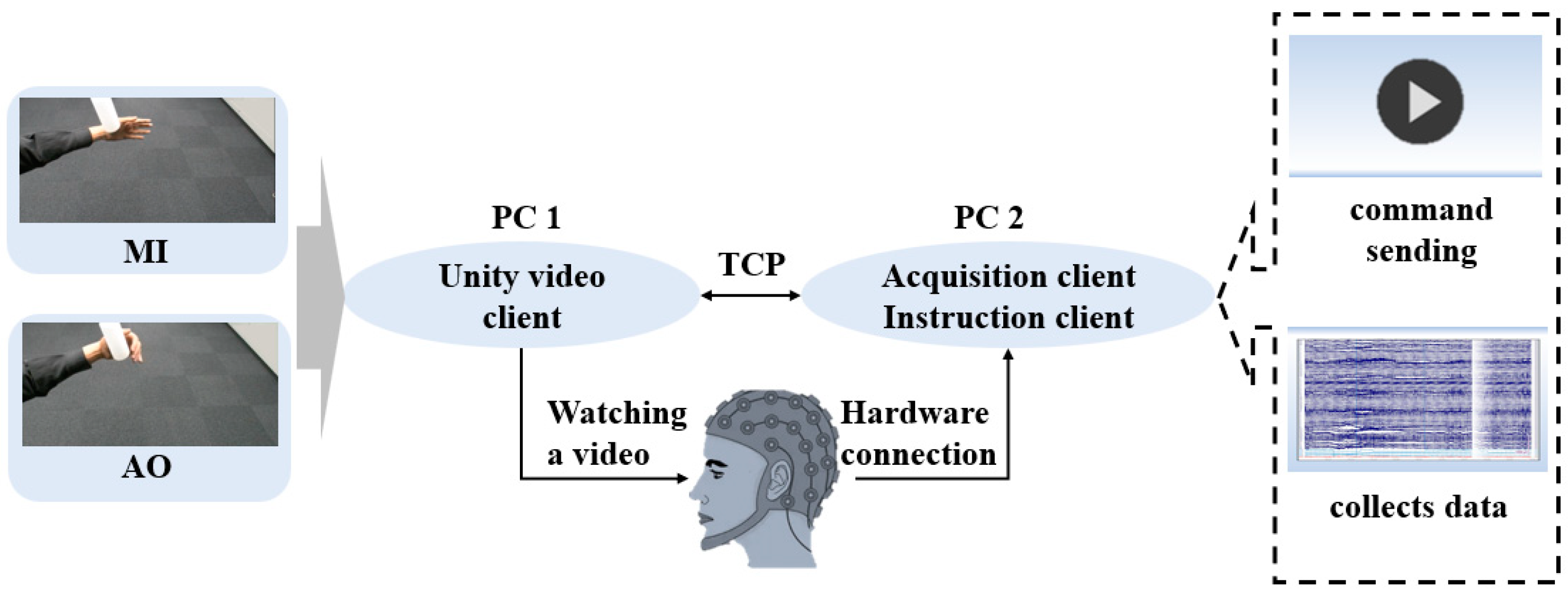 Bioengineering 11 00030 g001