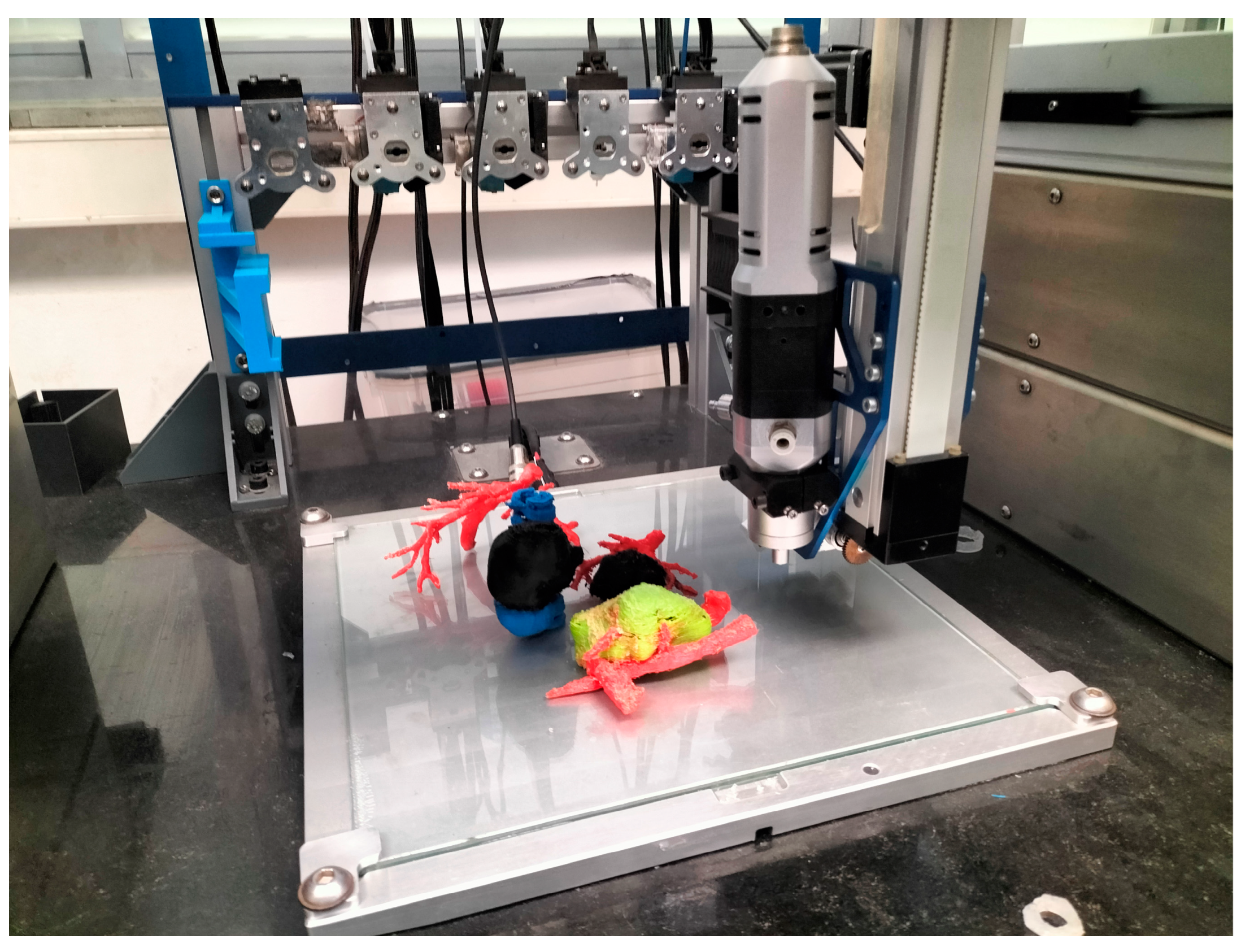 Bioengineering 11 00031 g001