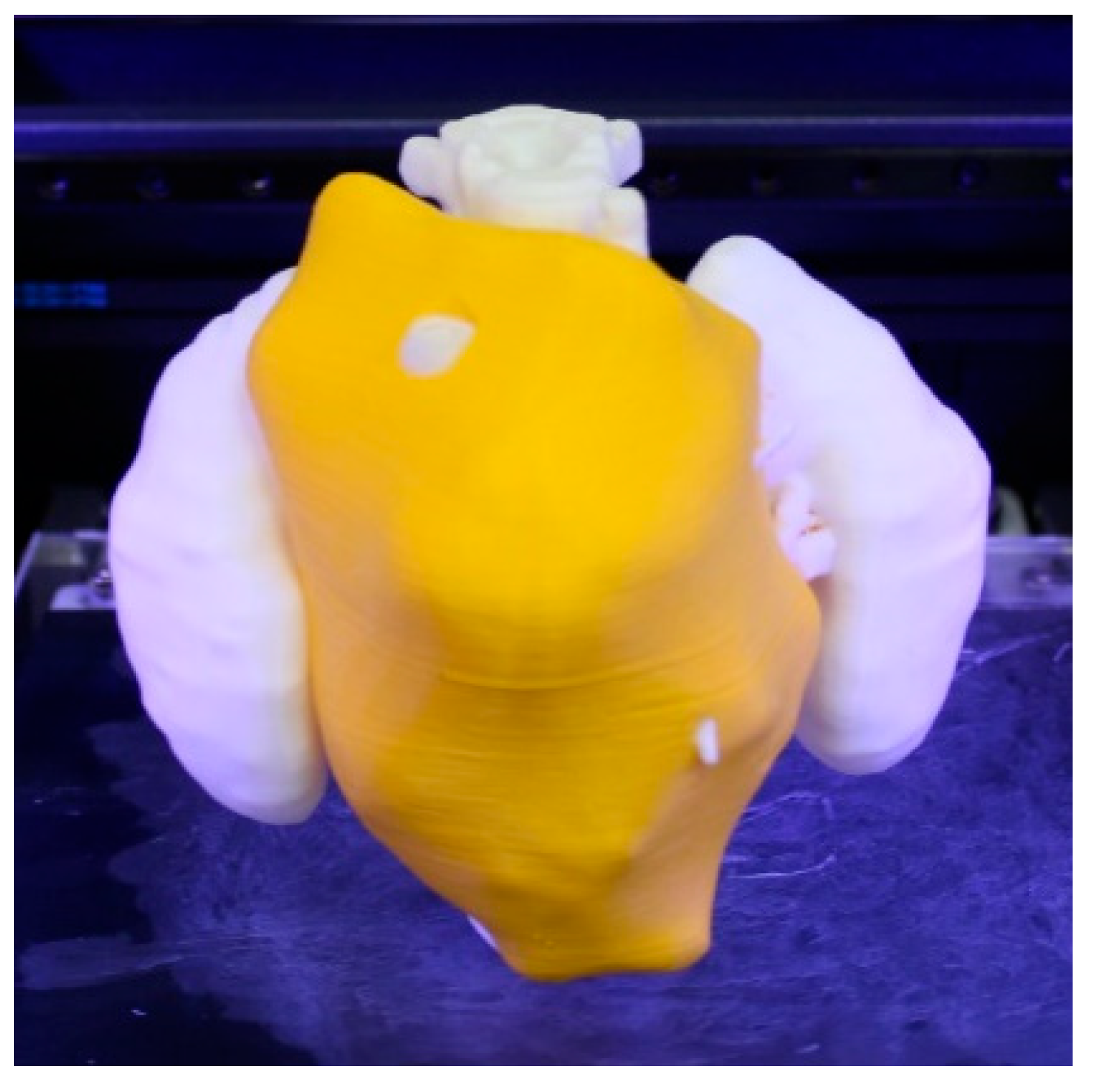 Bioengineering 11 00031 g005