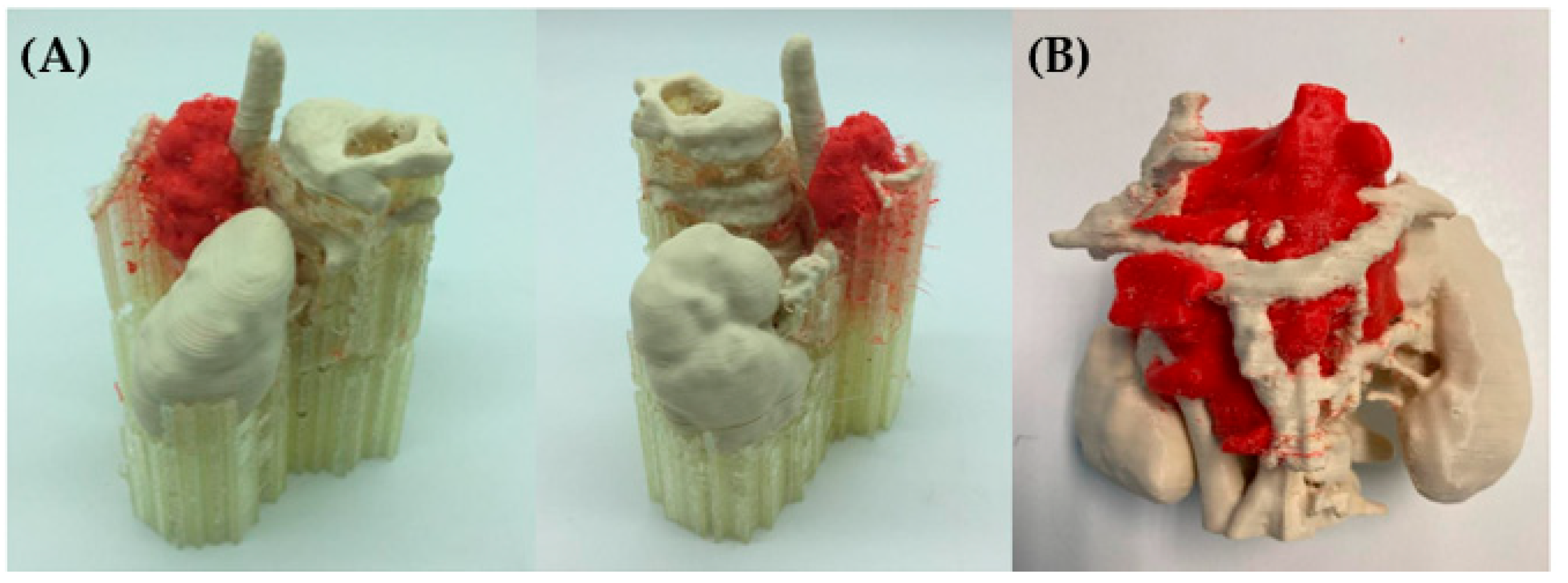 Bioengineering 11 00031 g006