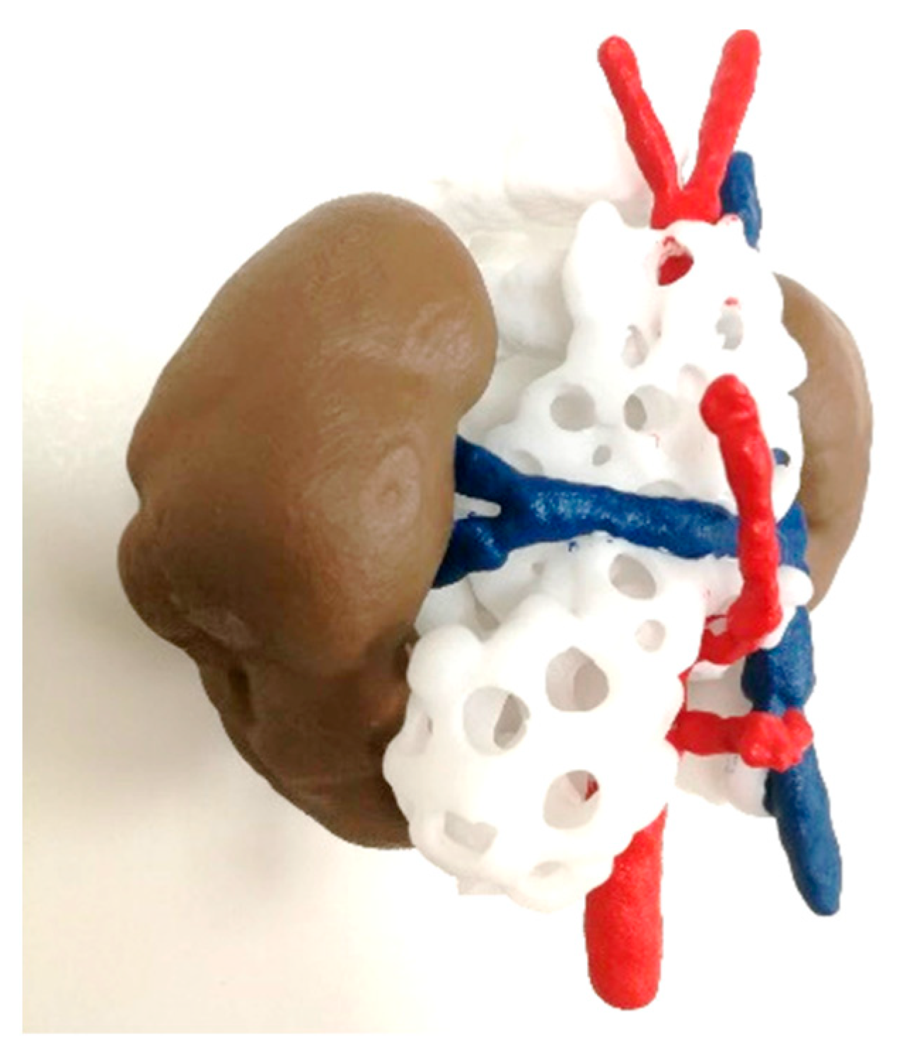 Bioengineering 11 00031 g007