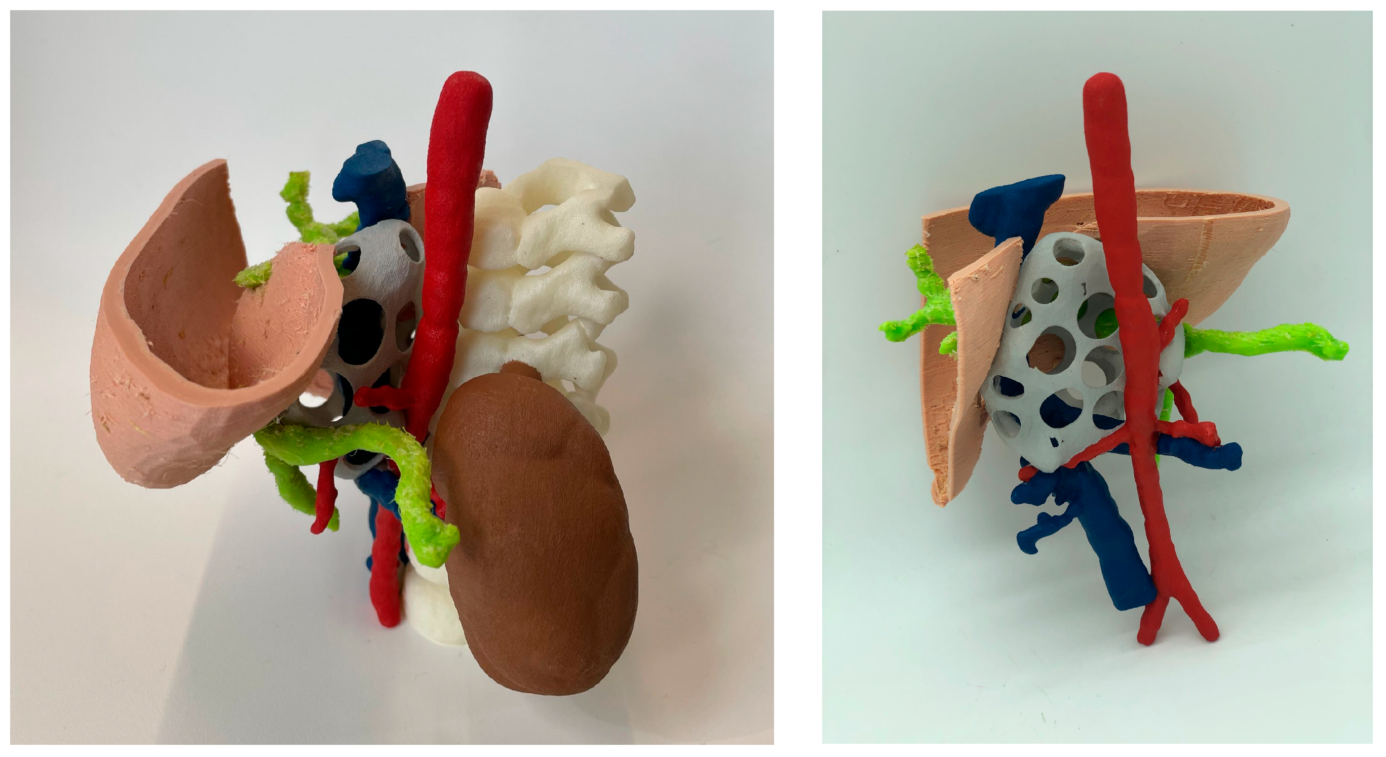 Bioengineering 11 00031 g008