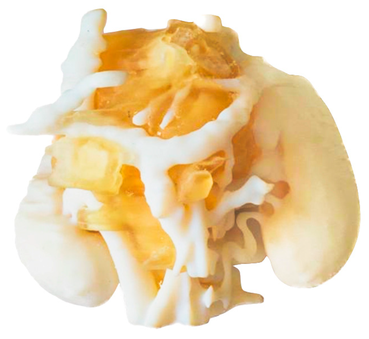 Bioengineering 11 00031 g010