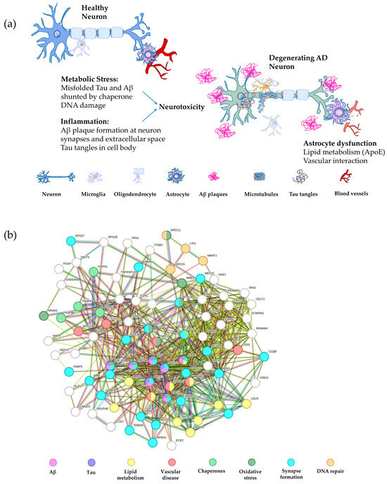 Bioengineering 11 00045 g002