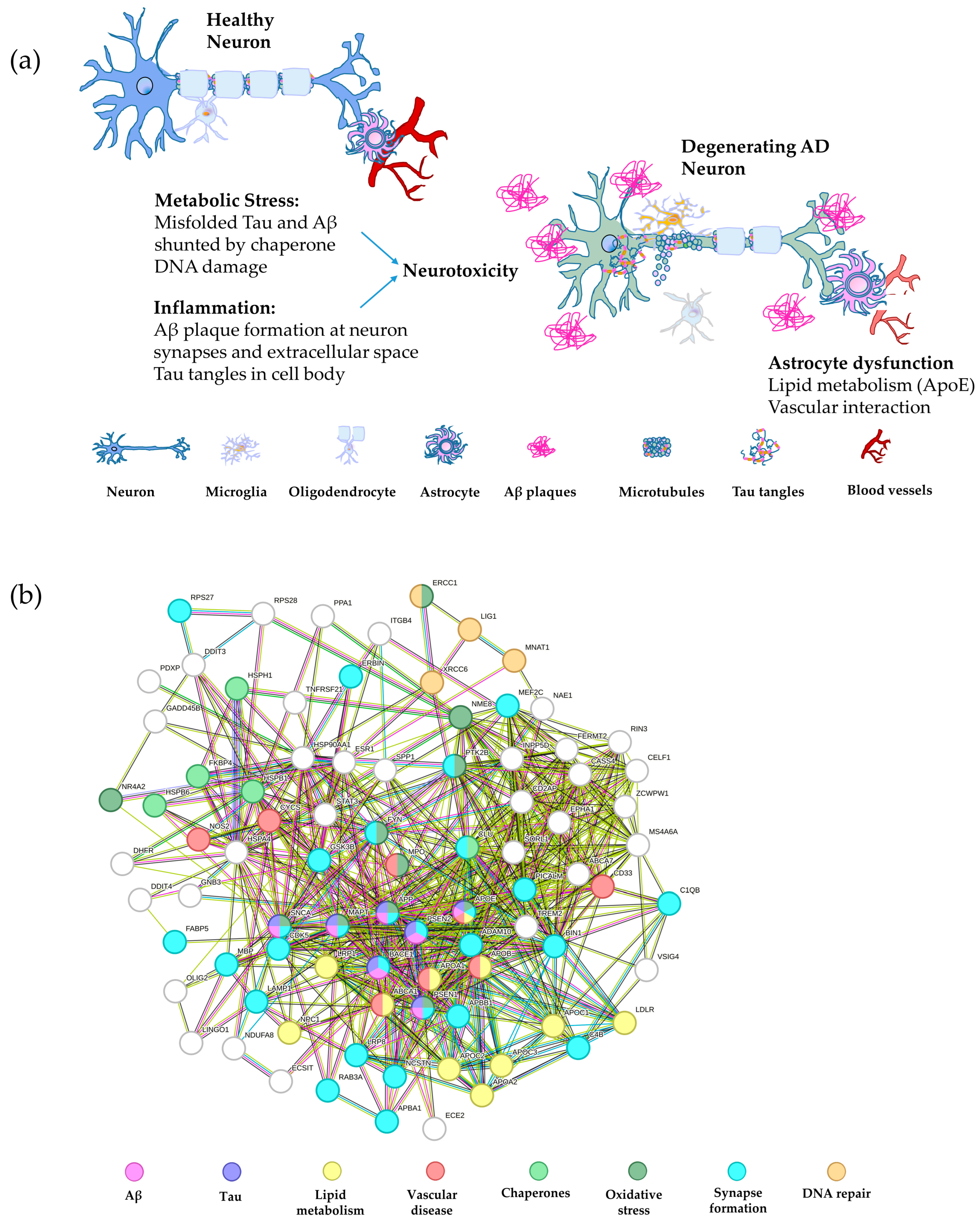 Bioengineering 11 00045 g002 Bioengineering 11 00045 g002