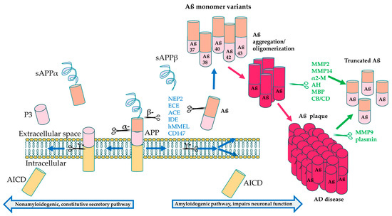 Bioengineering 11 00045 g003