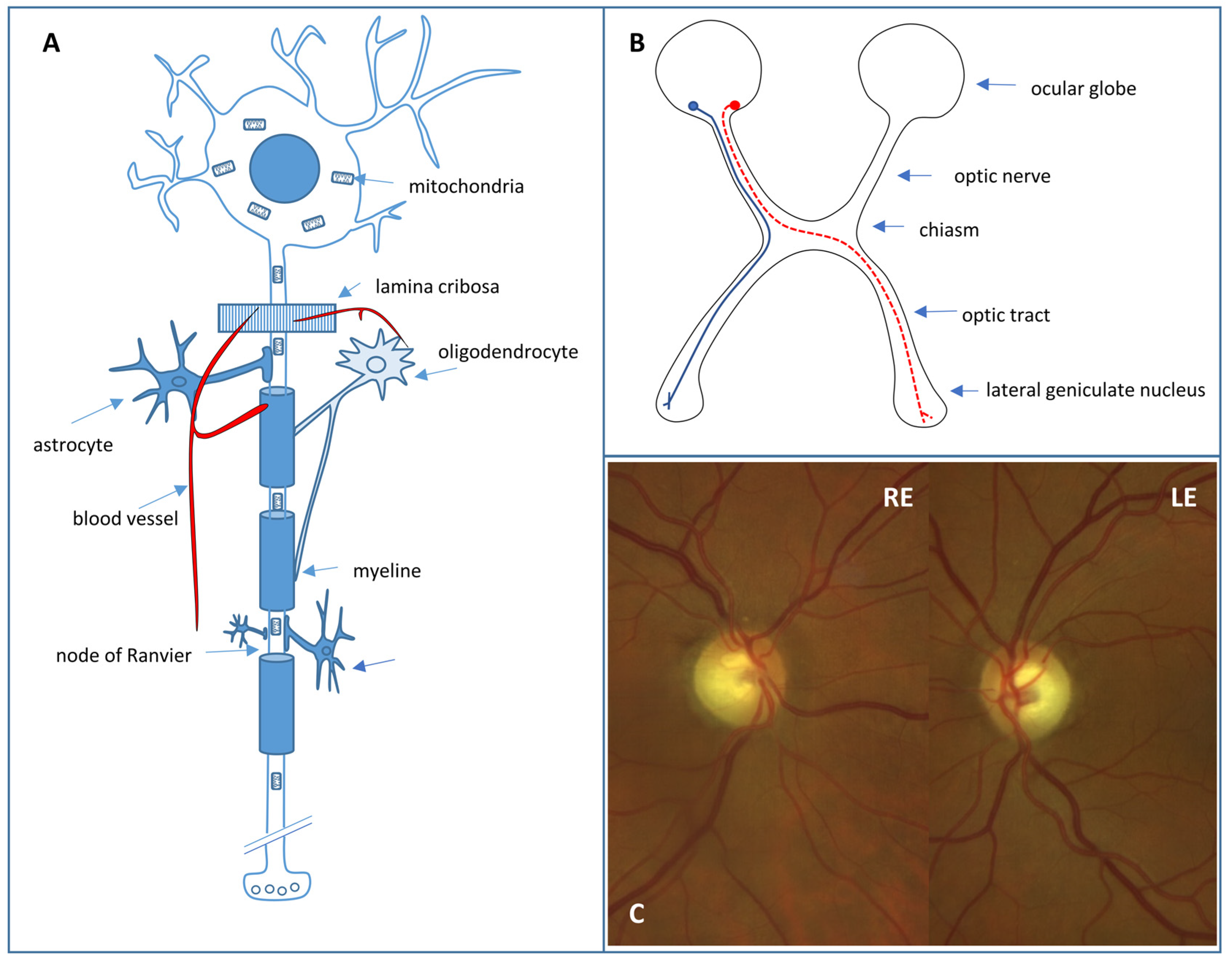 Bioengineering 11 00052 g002