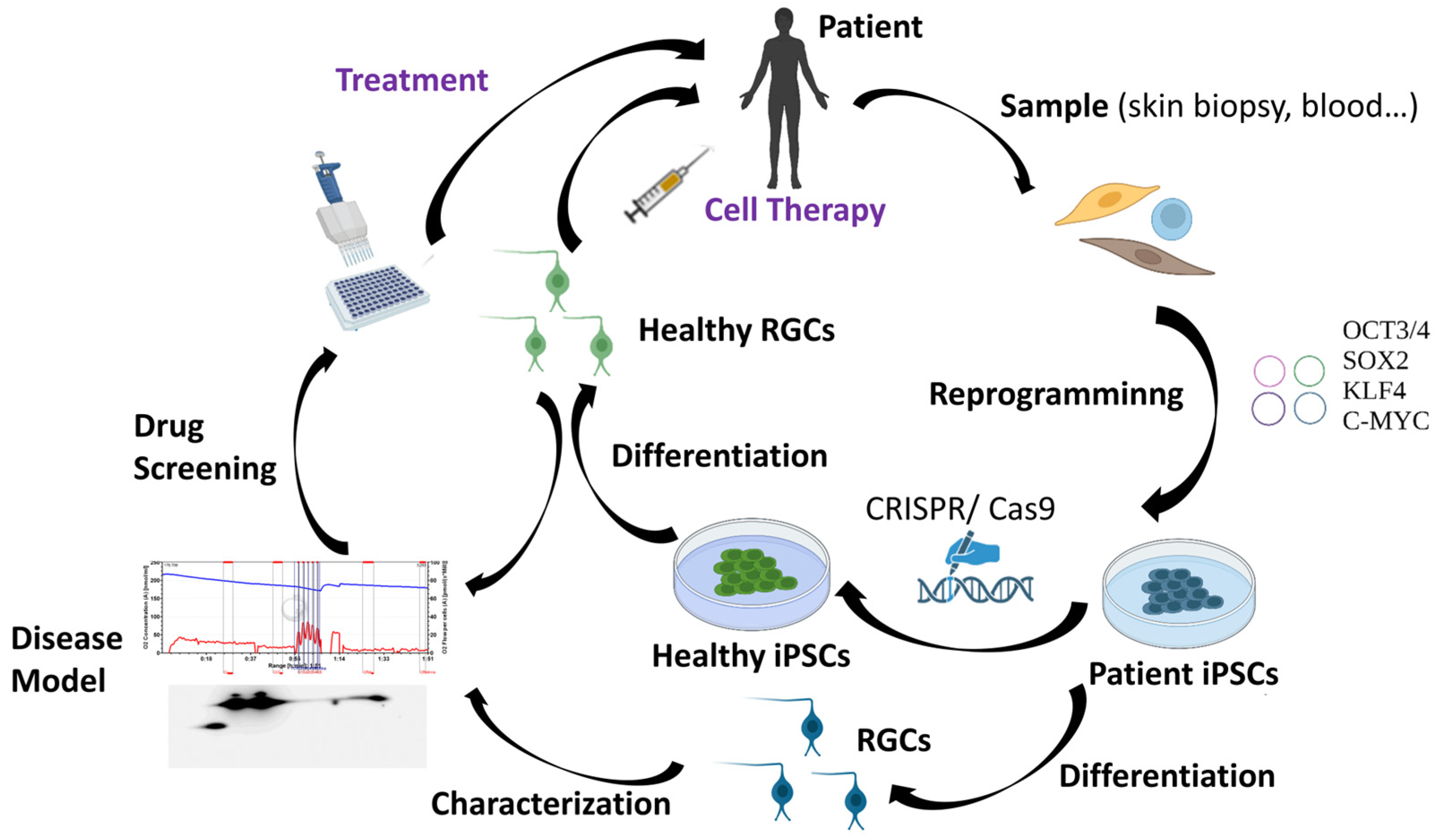 Bioengineering 11 00052 g003