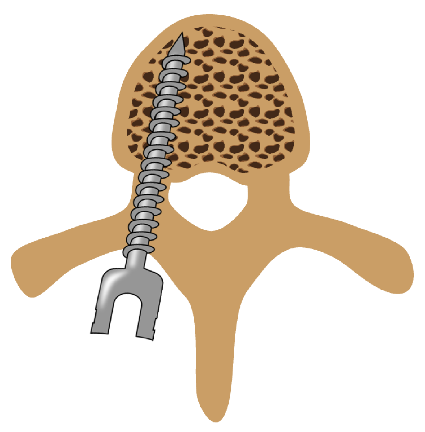 Bioengineering 11 00061 g001