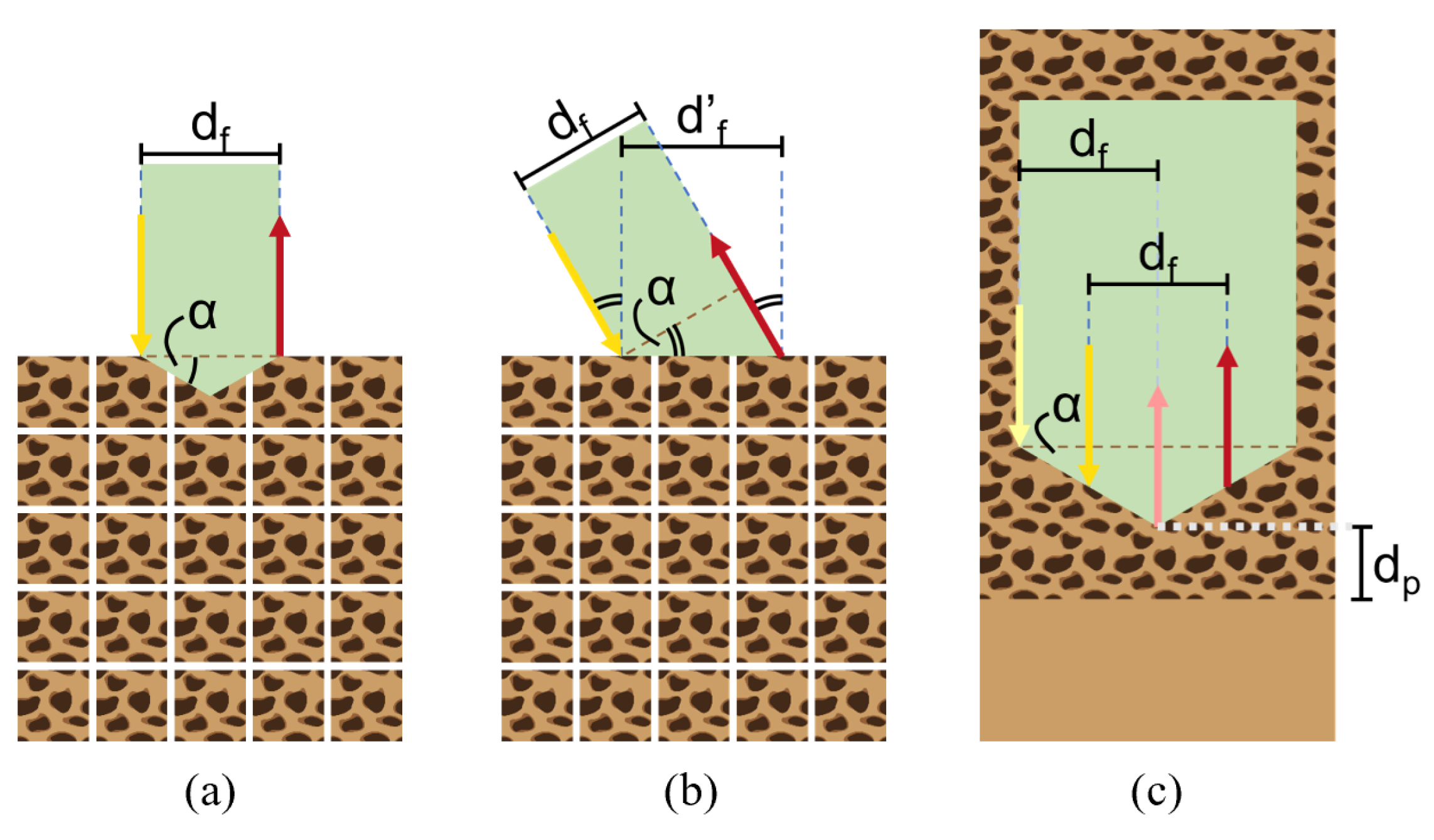 Bioengineering 11 00061 g002