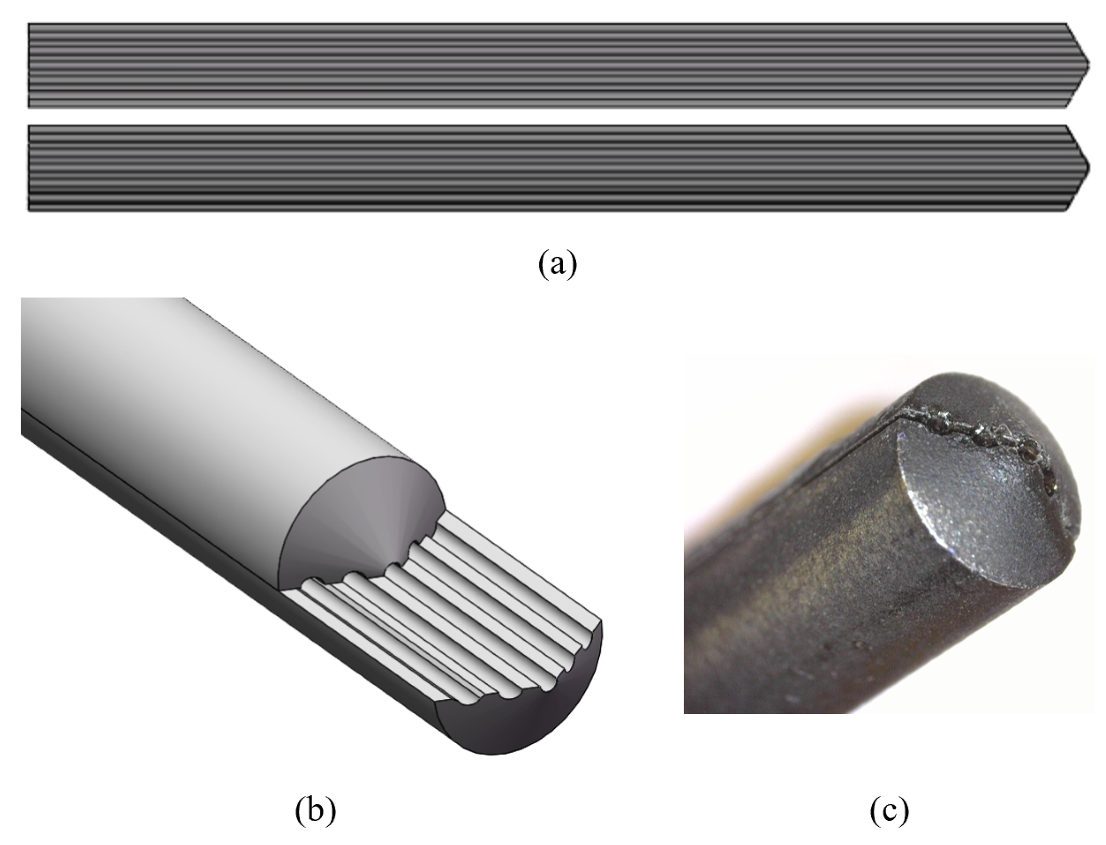 Bioengineering 11 00061 g003