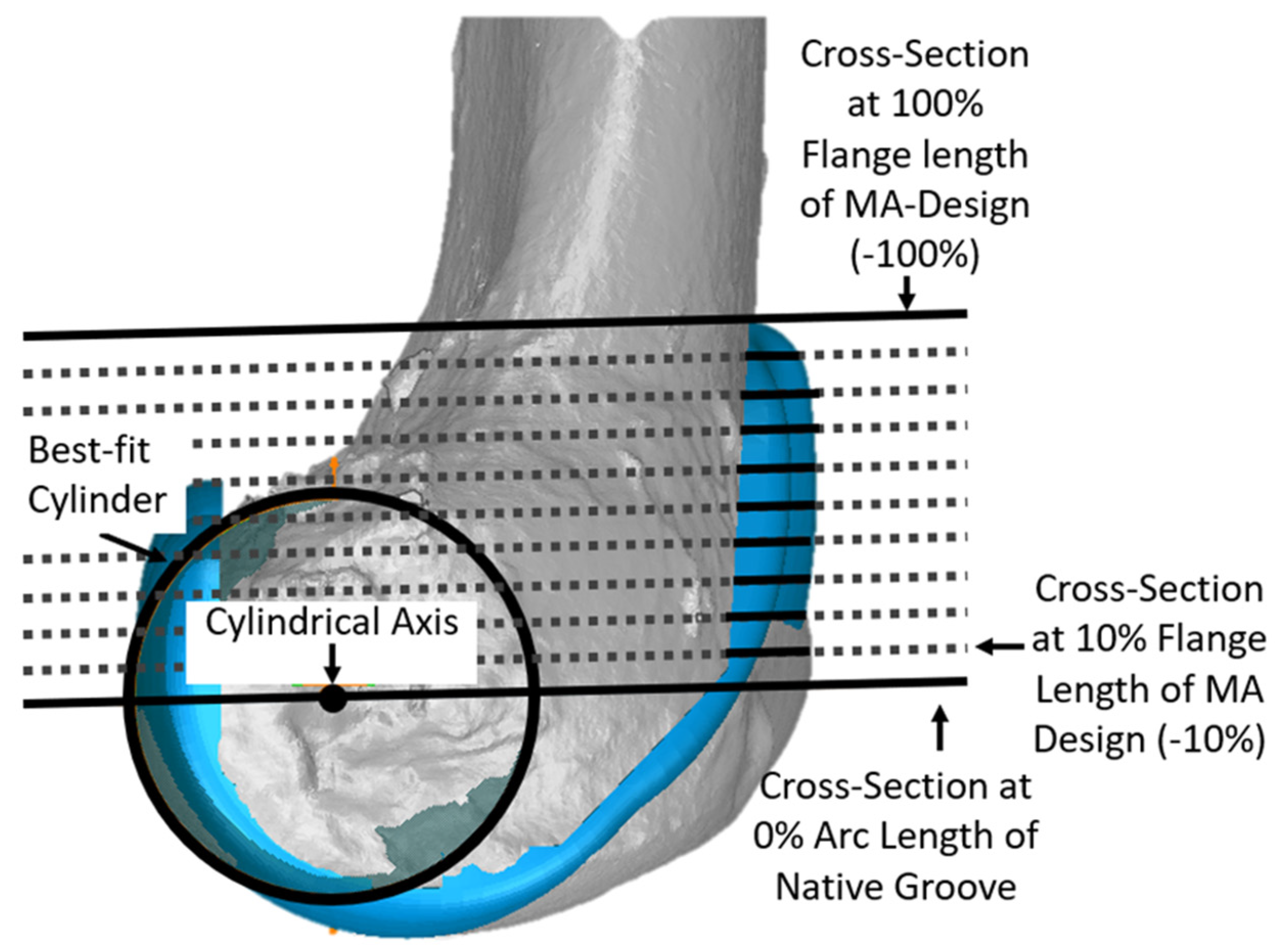 Bioengineering 11 00062 g004