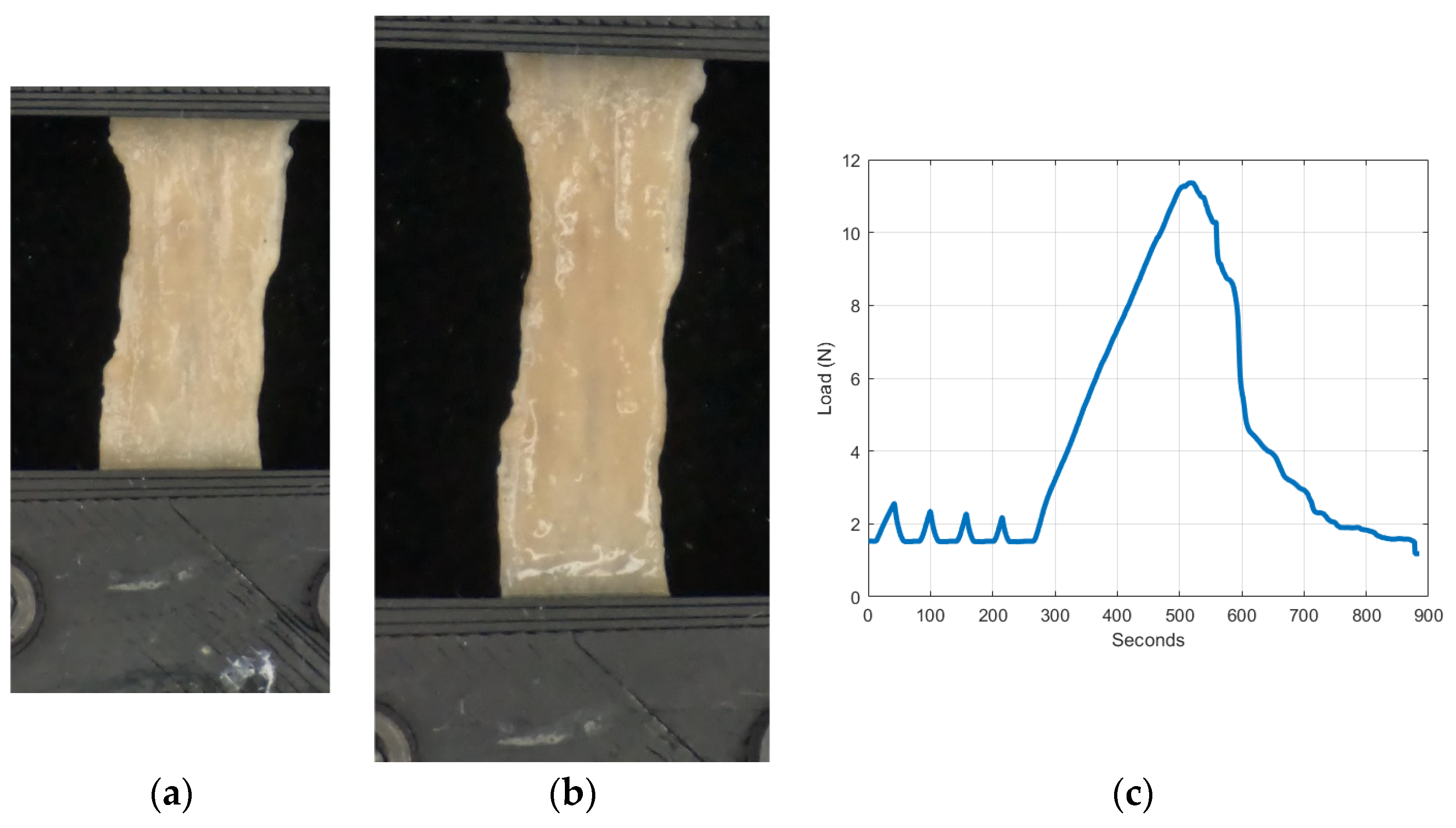 Bioengineering 11 00064 g004