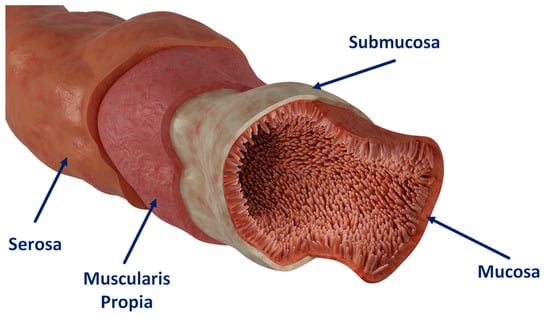 Bioengineering 11 00064 g0a1