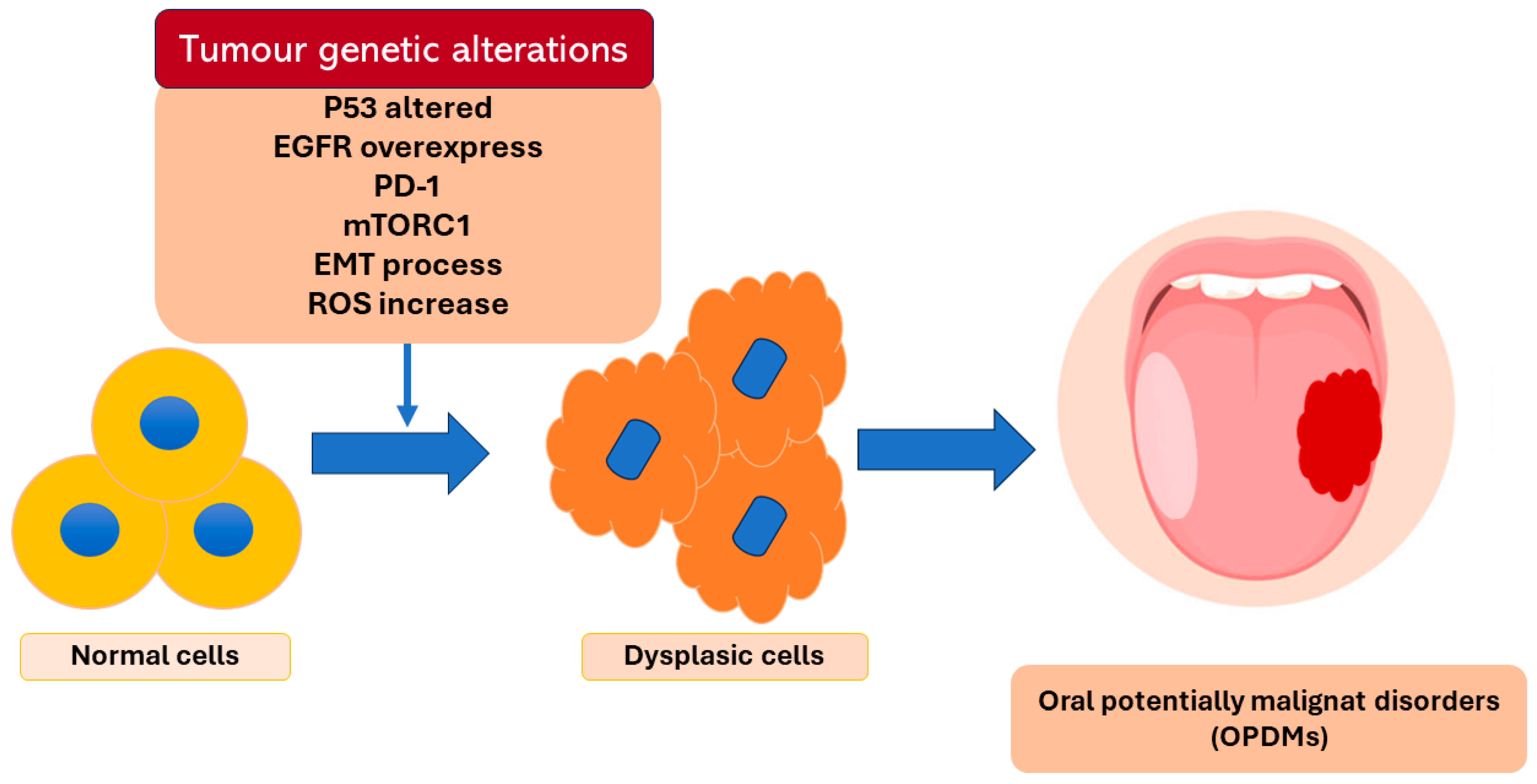Bioengineering 11 00065 g001
