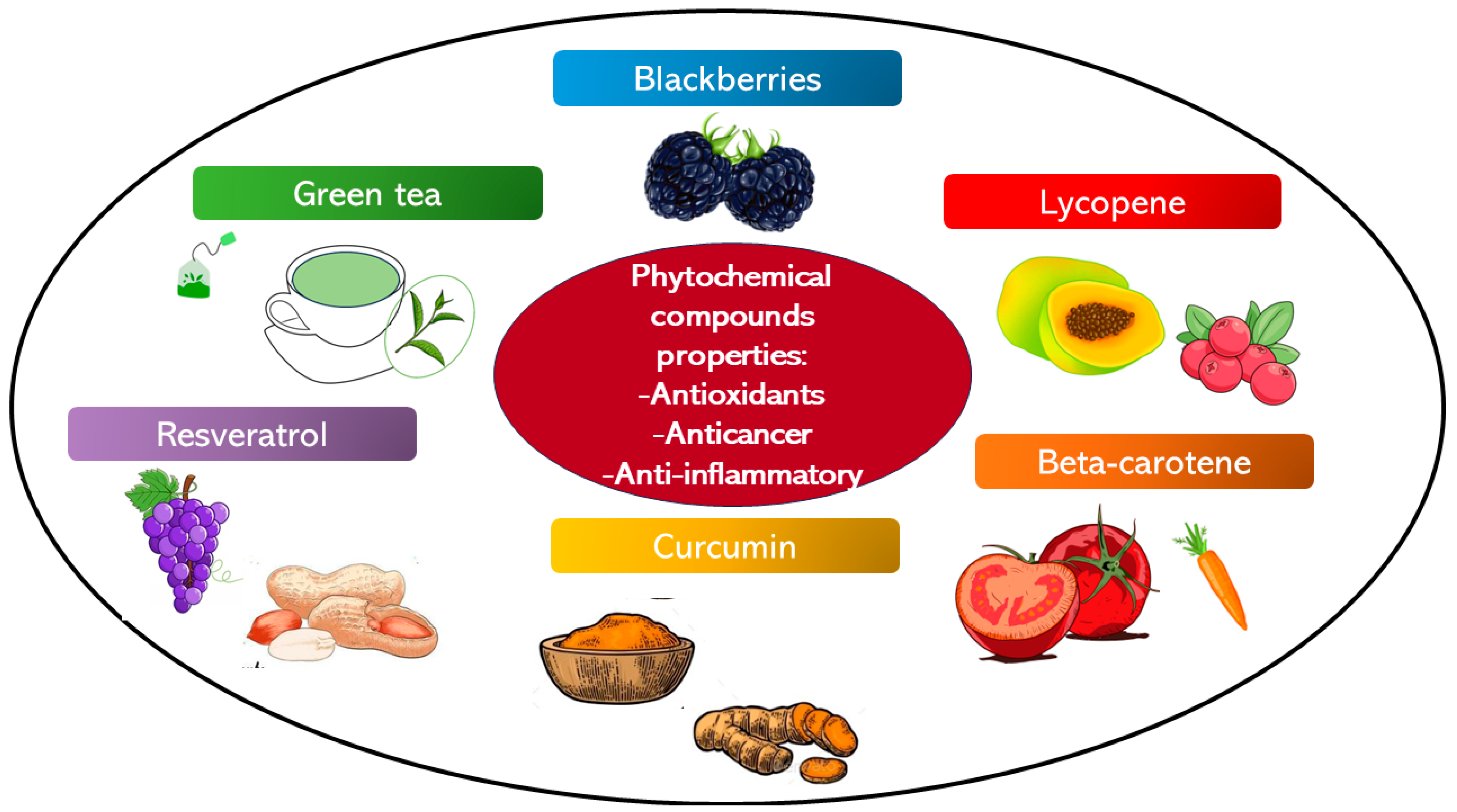 Bioengineering 11 00065 g003
