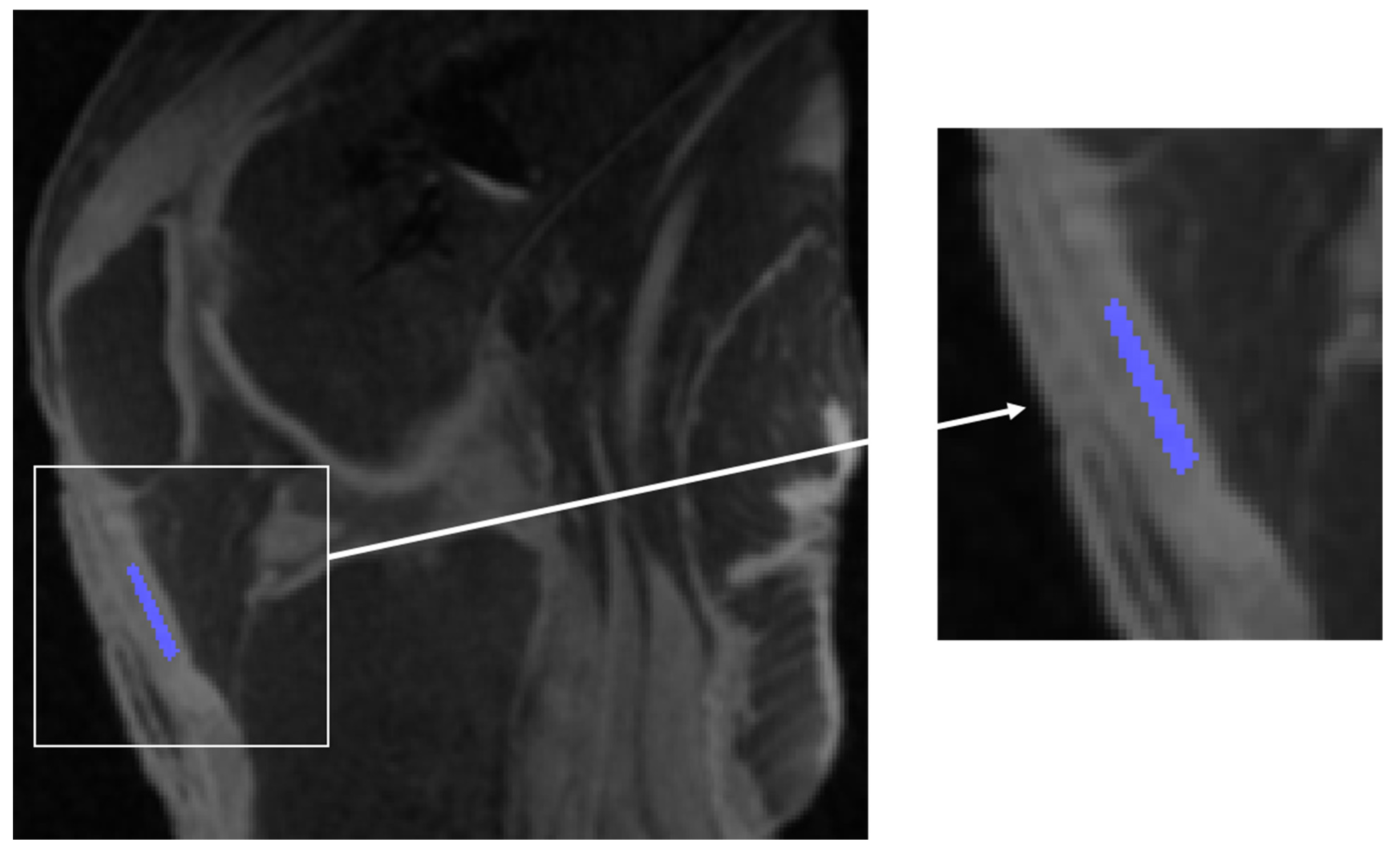 Bioengineering 11 00066 g002