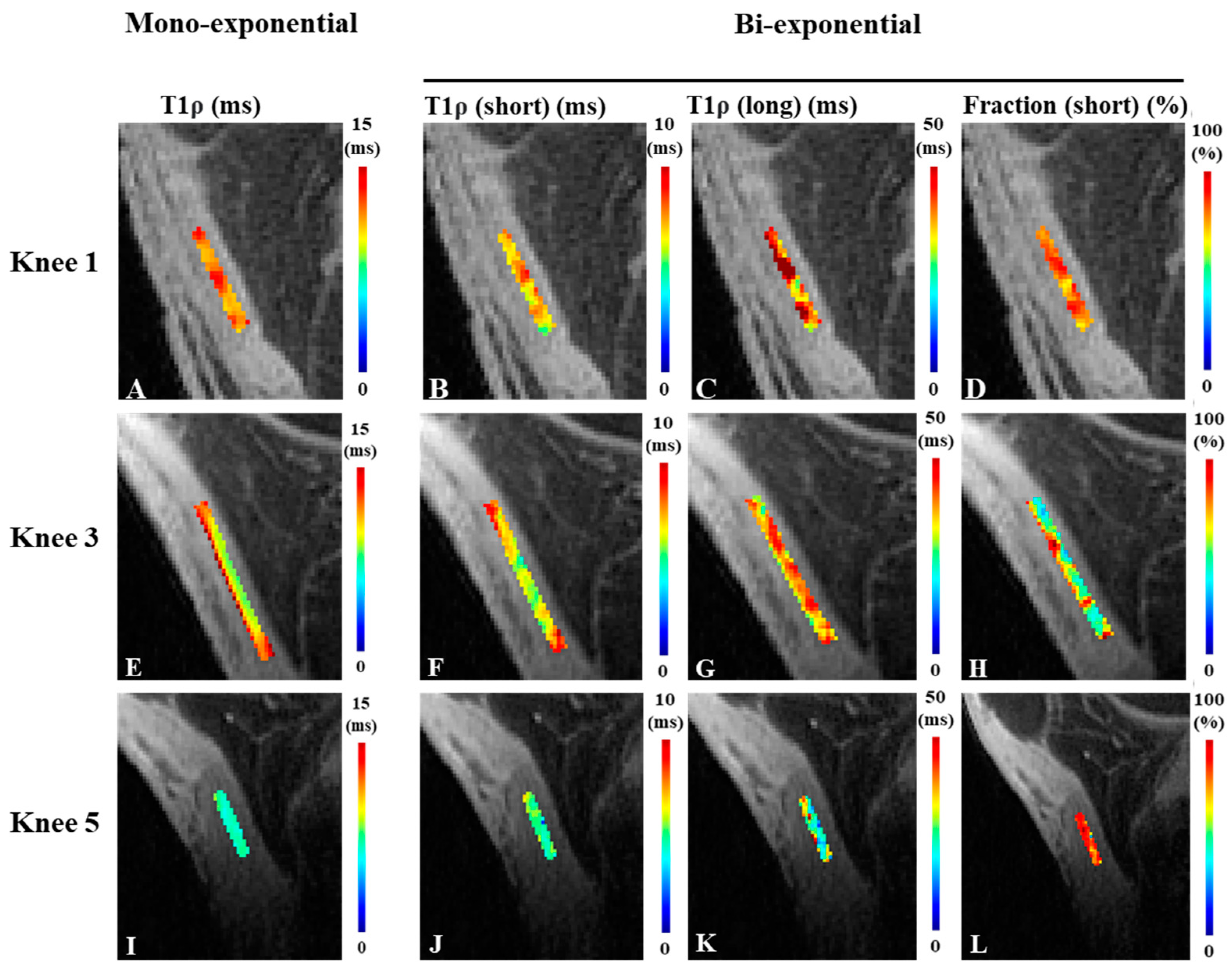 Bioengineering 11 00066 g004