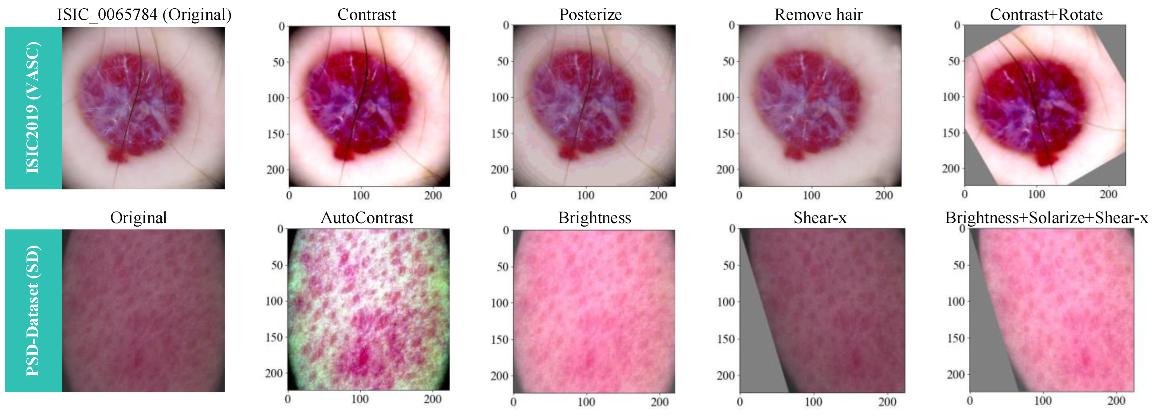 Bioengineering 11 00070 g005